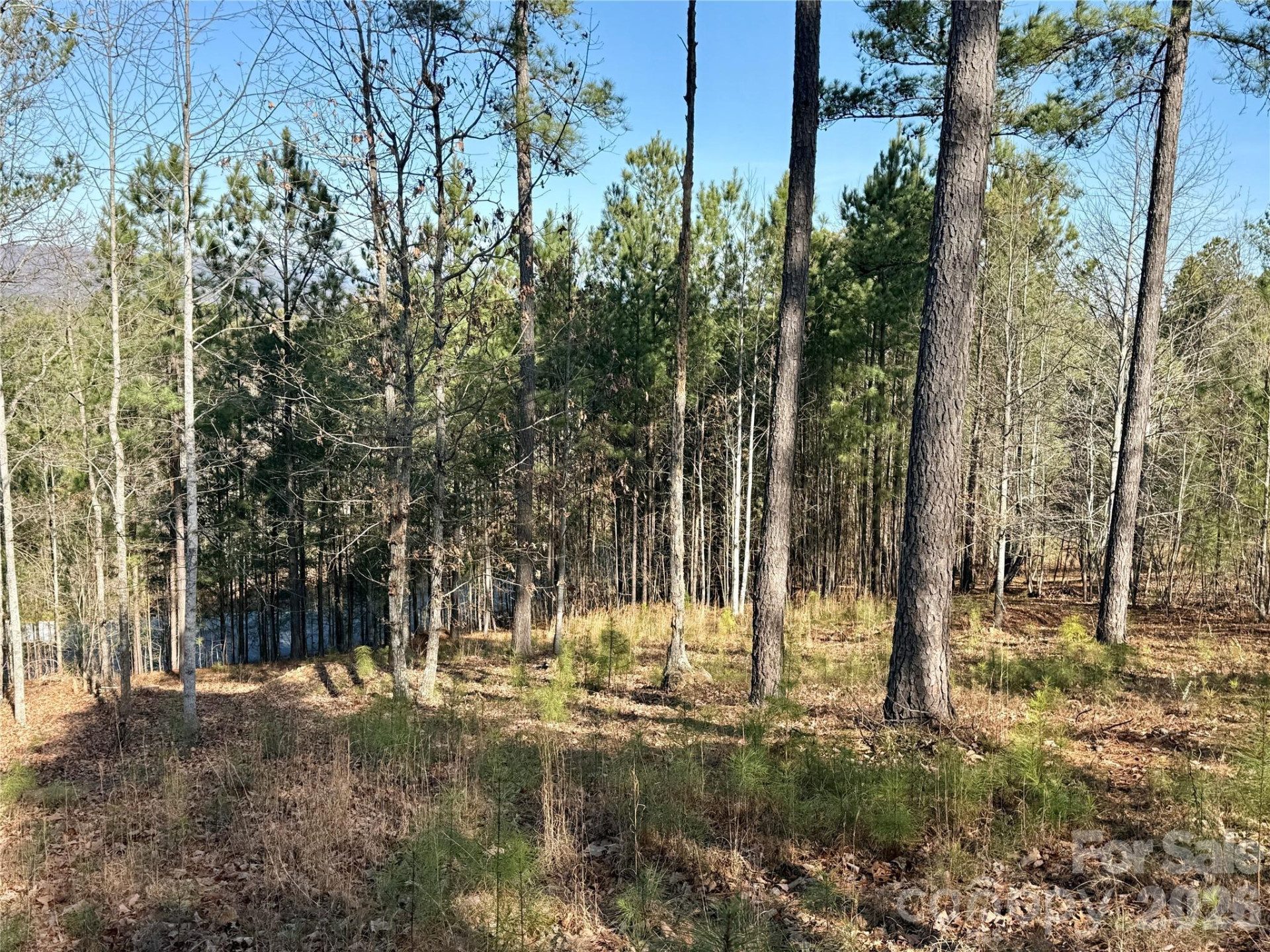 338 Grandview Peaks Drive #36 - Photo 5