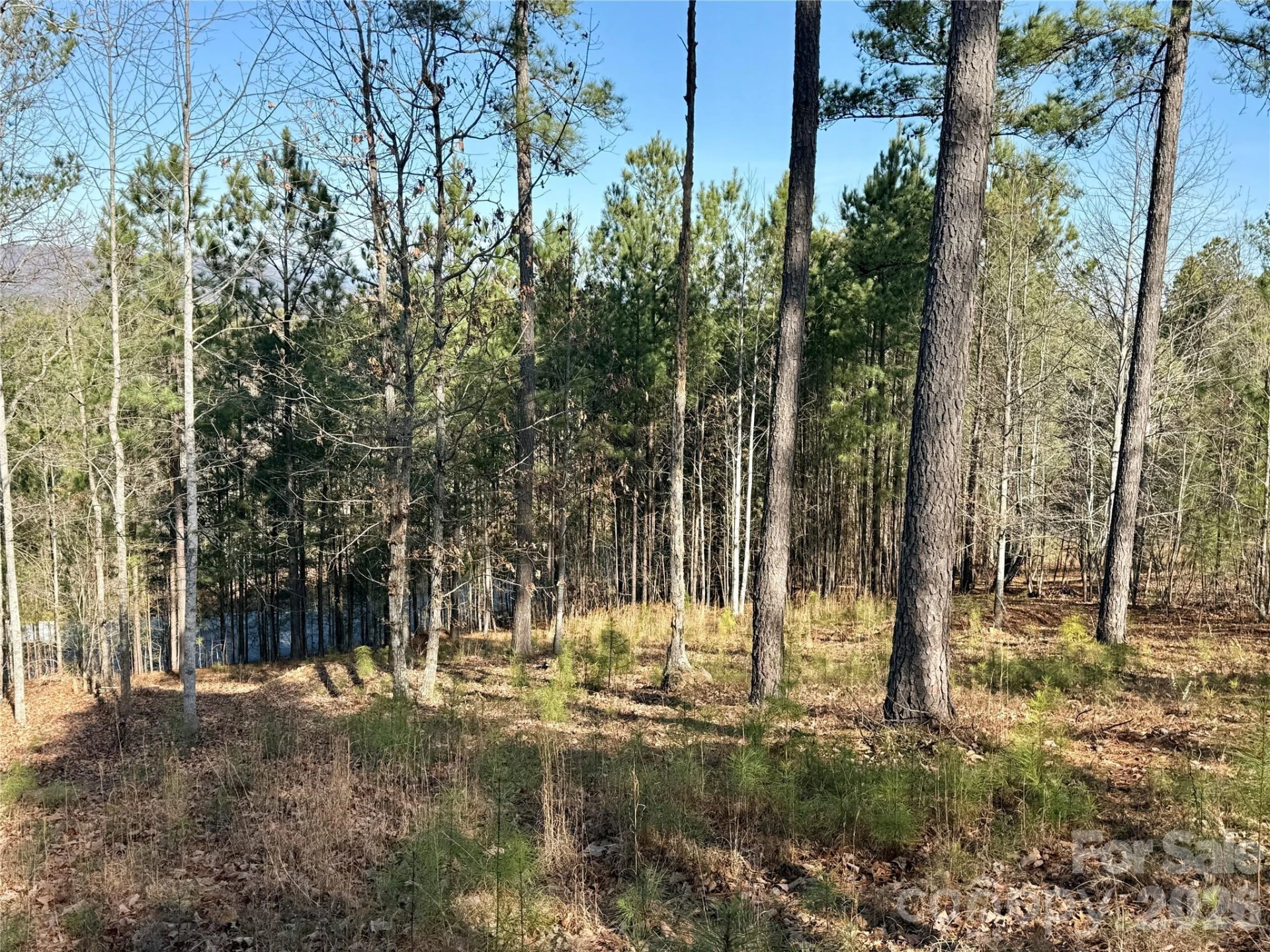 338 Grandview Peaks Drive #36 - Photo 5