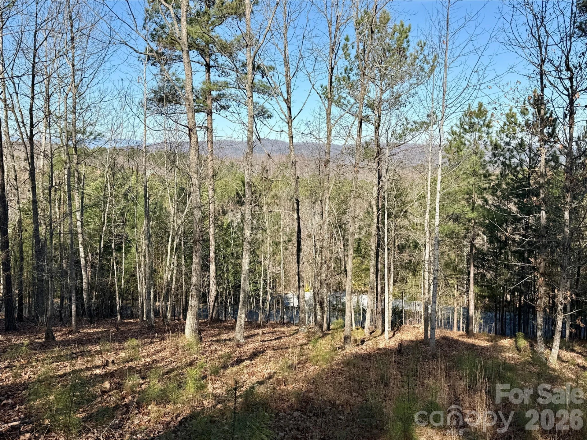 338 Grandview Peaks Drive #36 - Photo 6