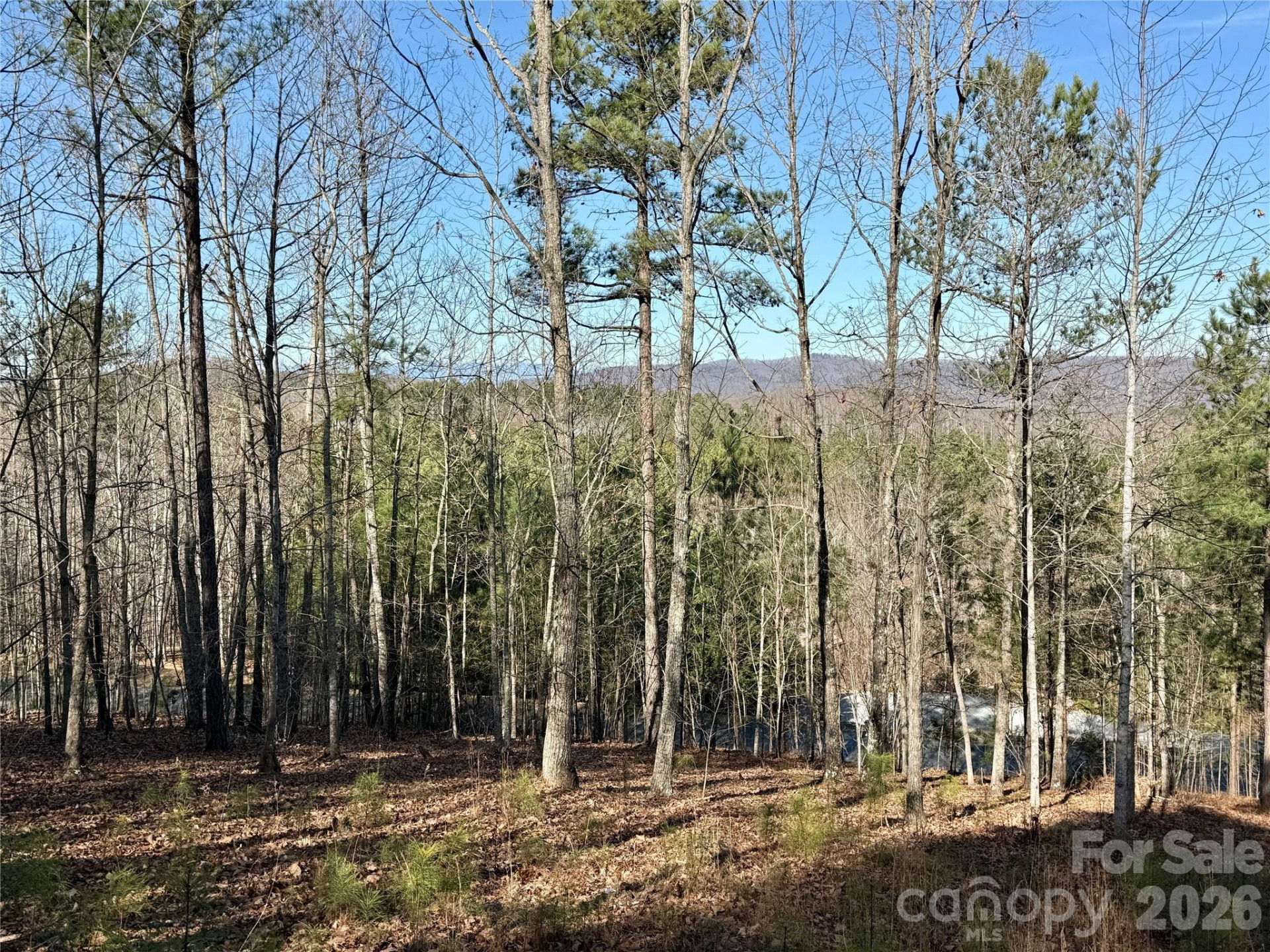 338 Grandview Peaks Drive #36 - Photo 7