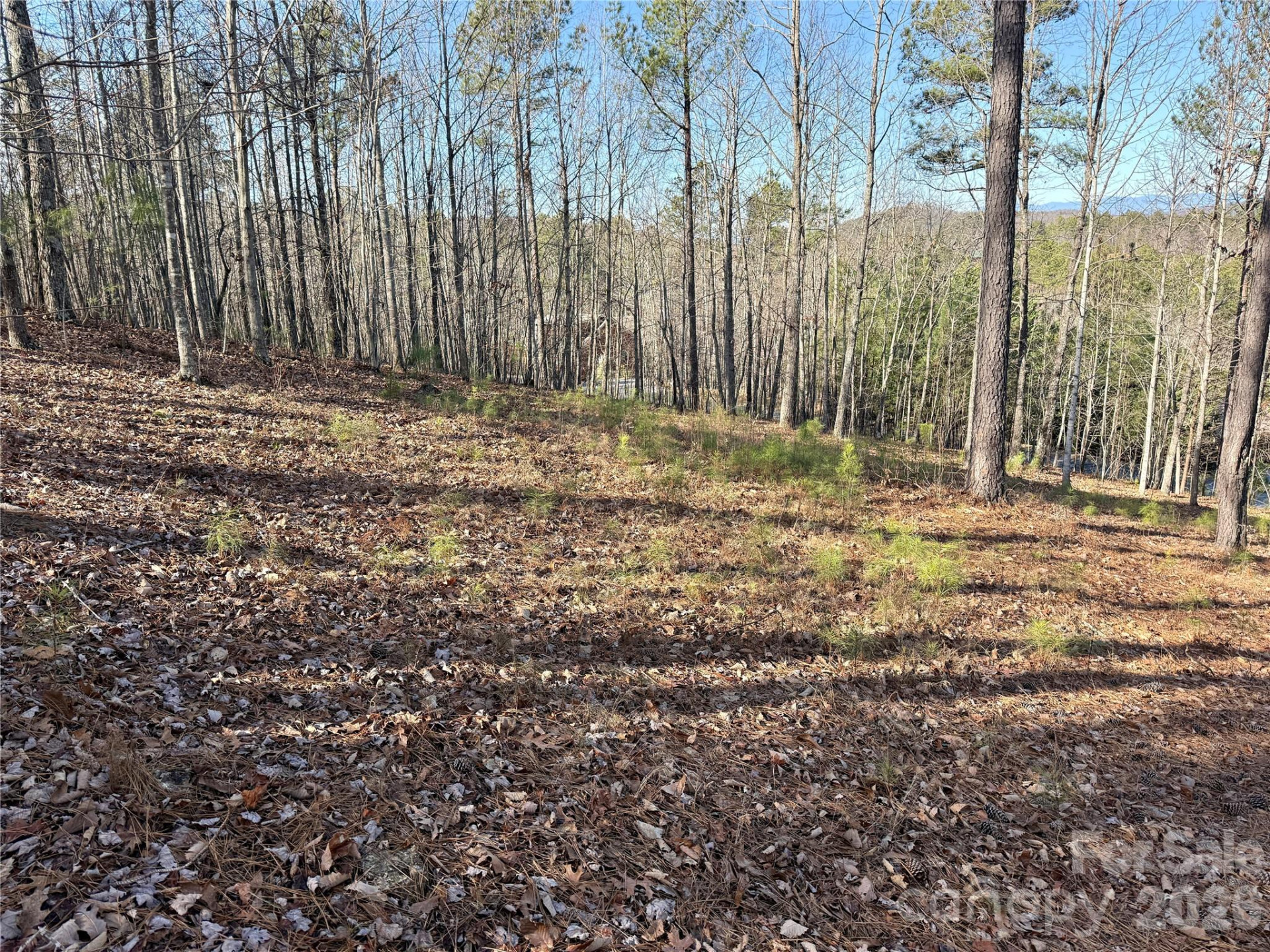 338 Grandview Peaks Drive #36 - Photo 9