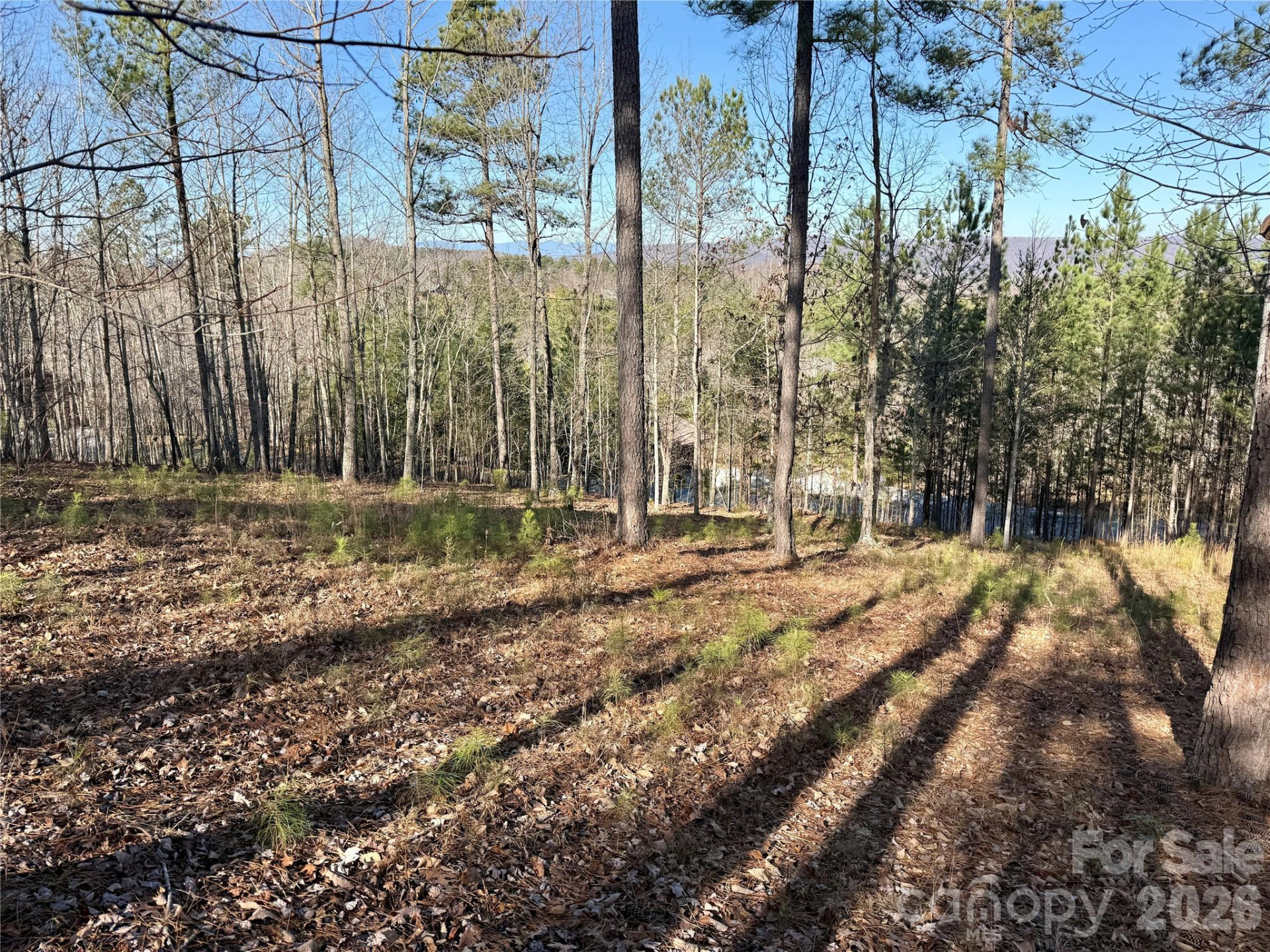 338 Grandview Peaks Drive #36 - Photo 10