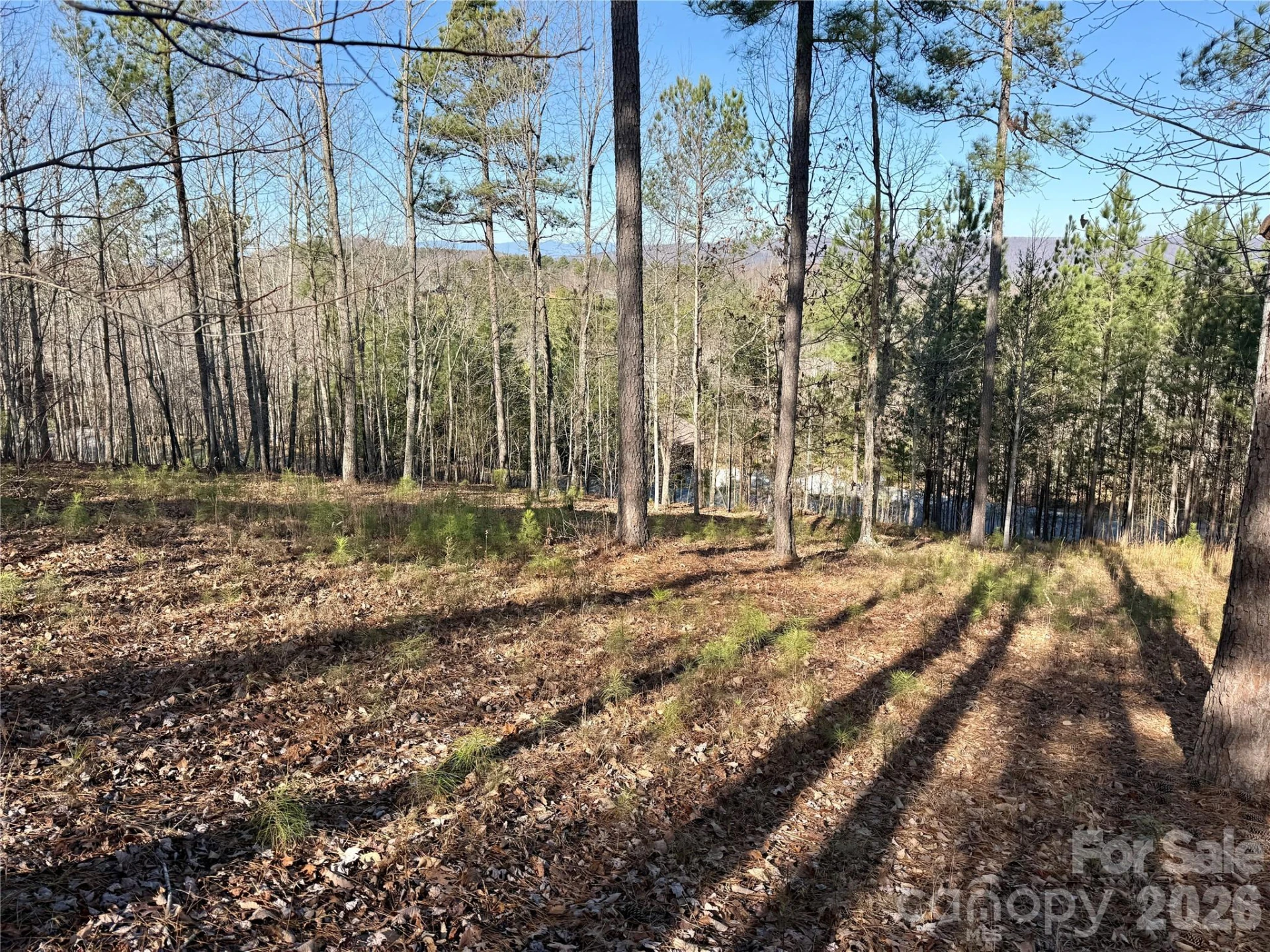 338 Grandview Peaks Drive #36 - Photo 10