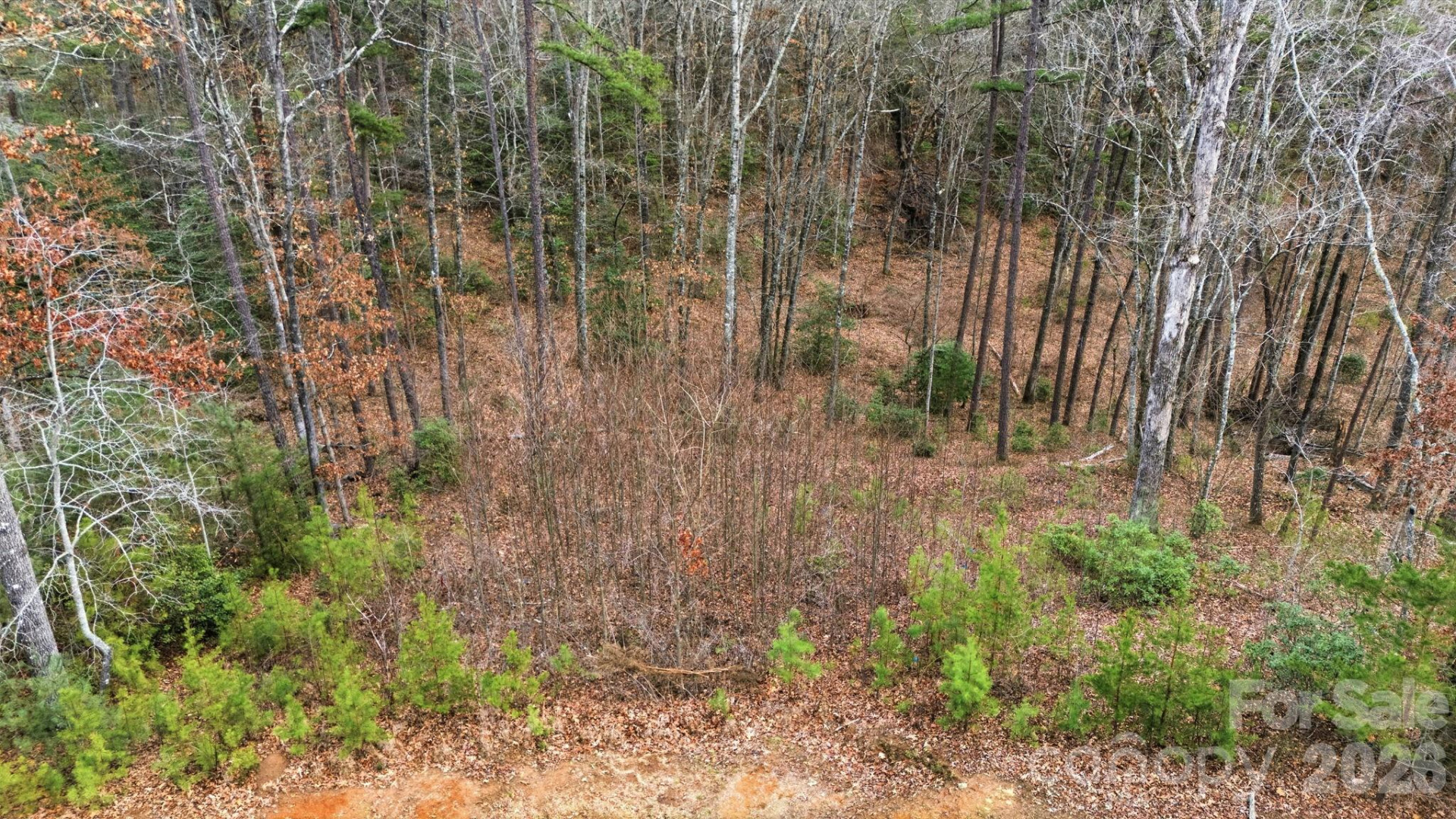 22 River Club Drive - Photo 17