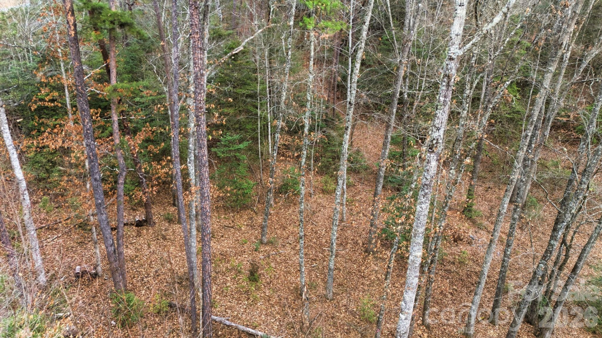 22 River Club Drive - Photo 18