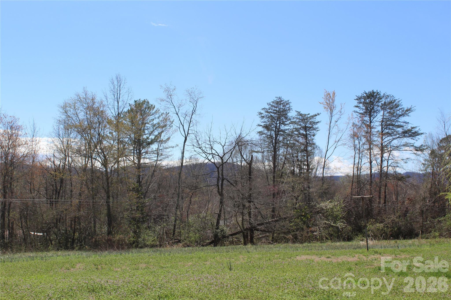 316 Drexel Road - Photo 7