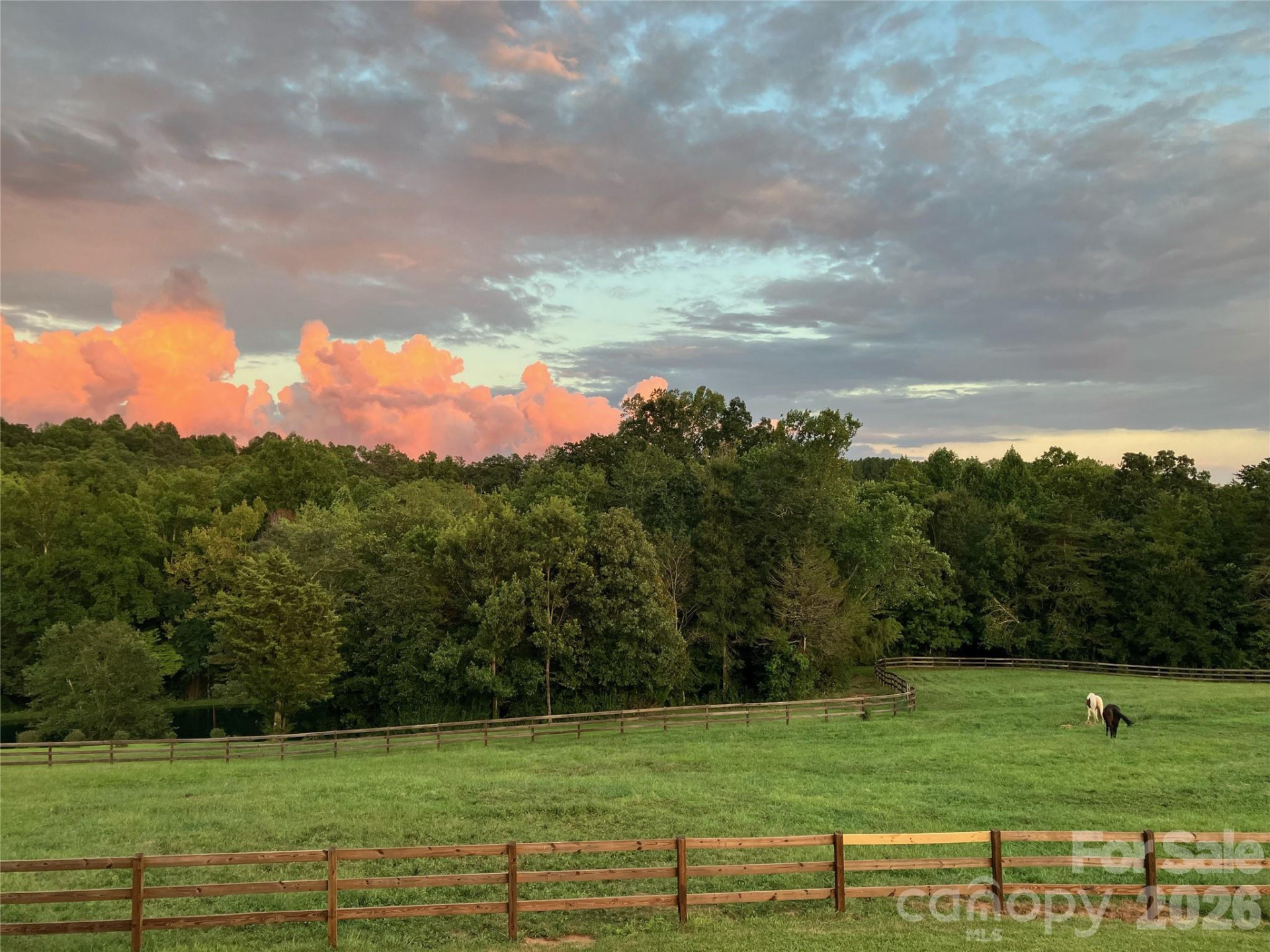 398 Dave Sims Road - Photo 47
