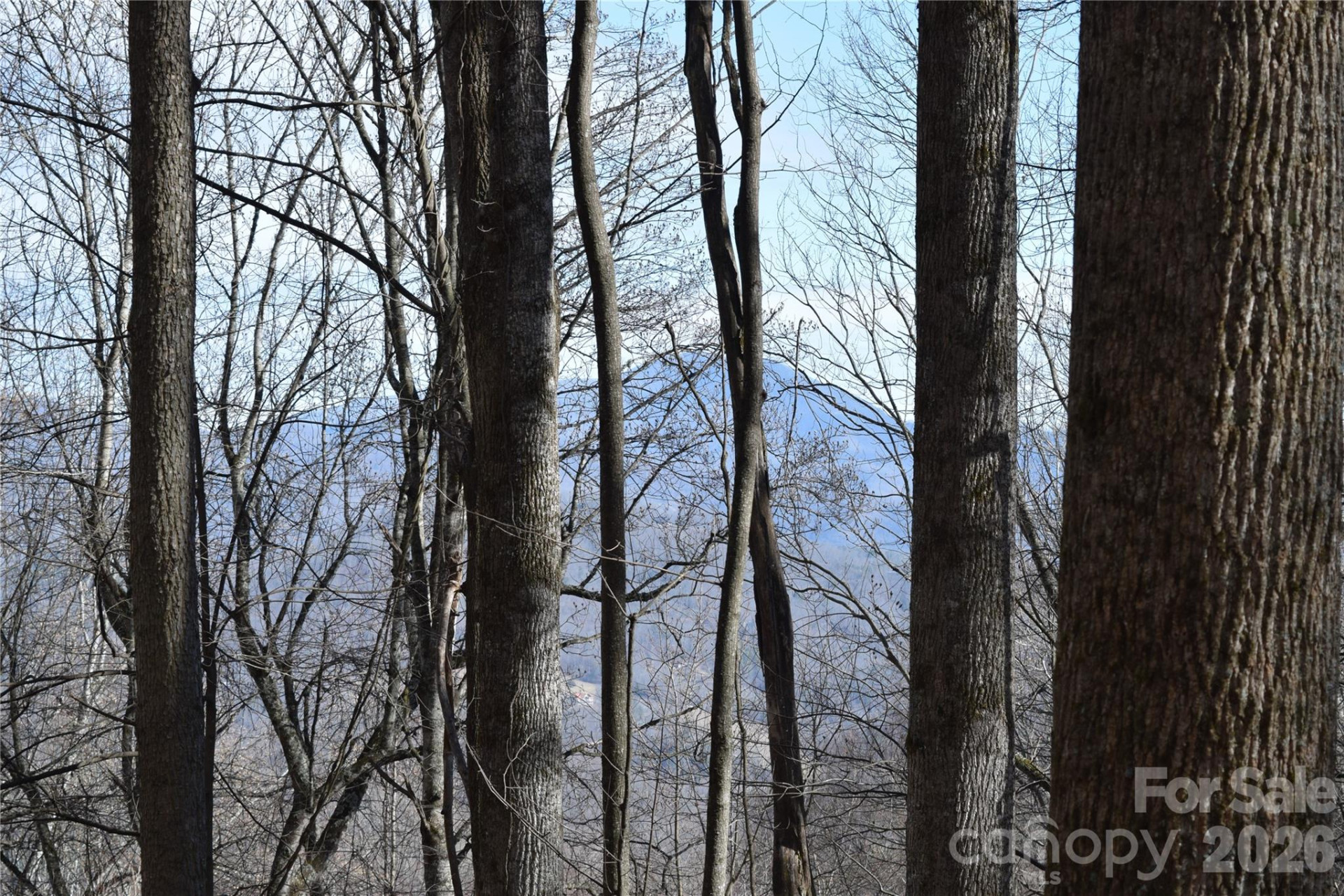 417& 418 Multiflora Way #417&418 - Photo 2