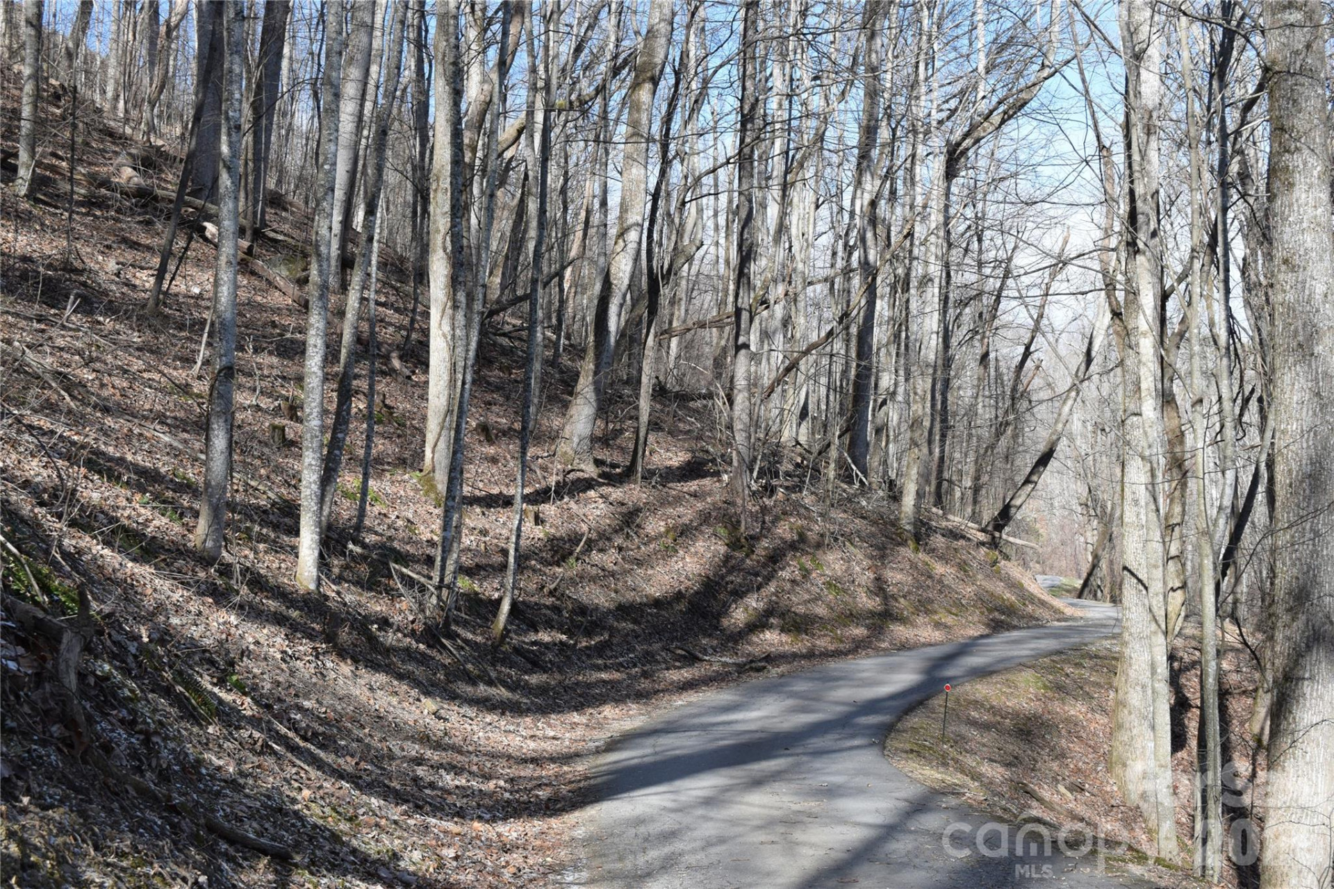 417& 418 Multiflora Way #417&418 - Photo 11