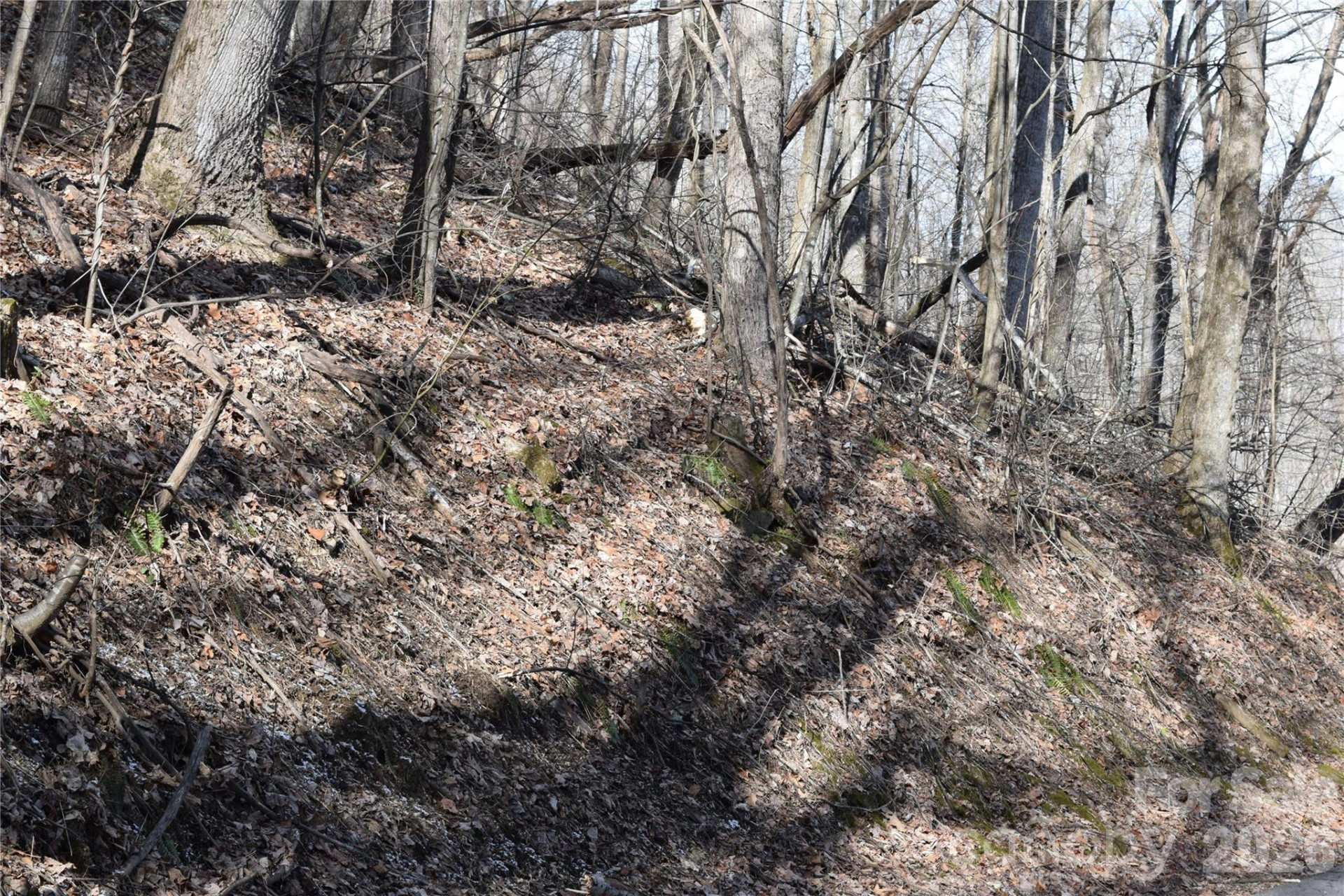 417& 418 Multiflora Way #417&418 - Photo 12