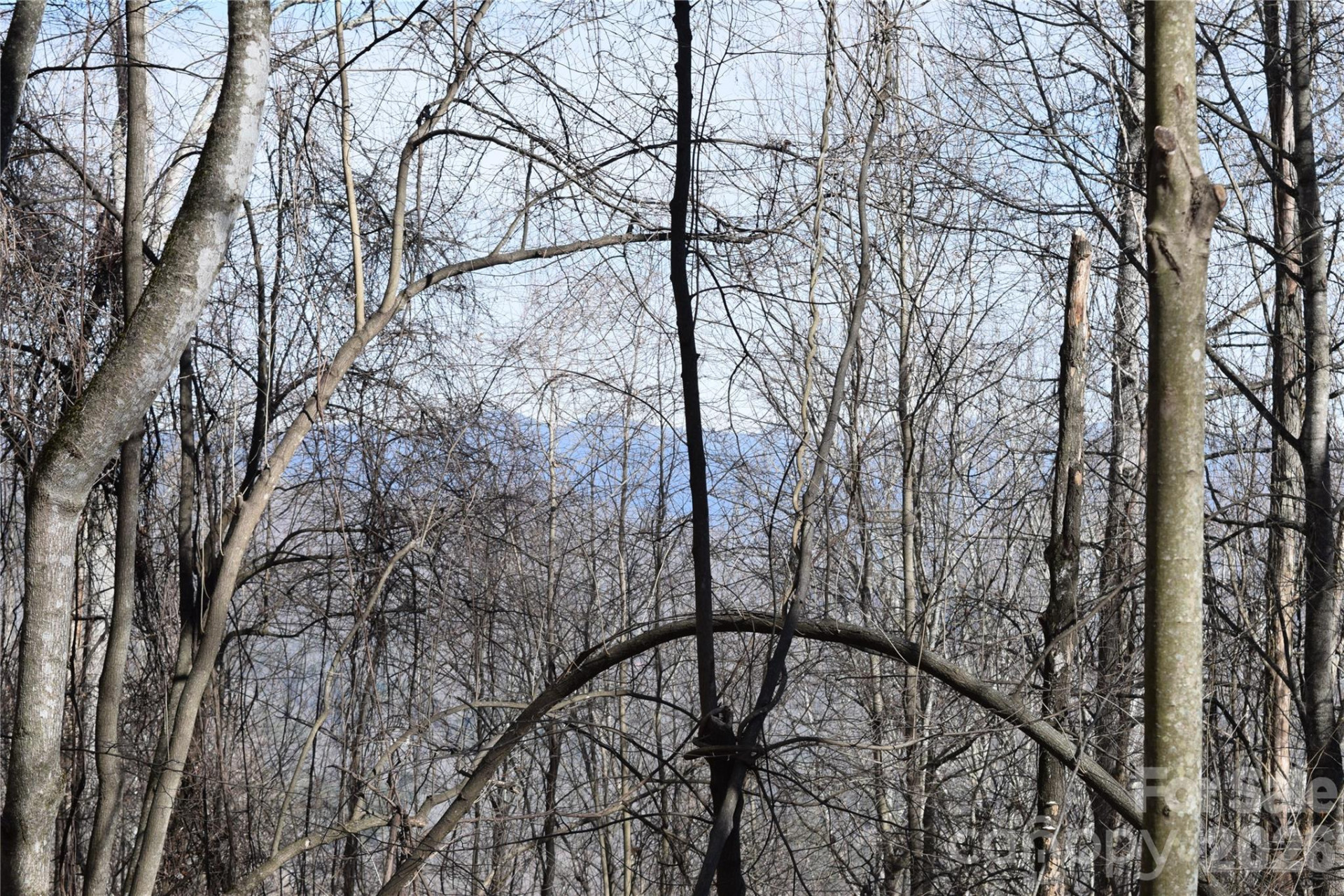 417& 418 Multiflora Way #417&418 - Photo 13