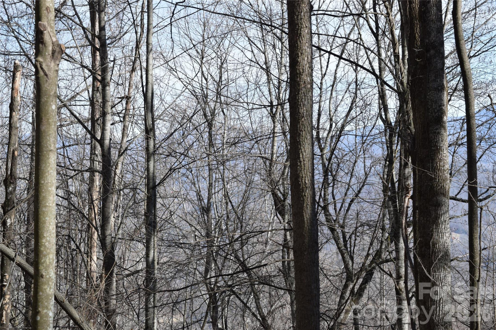 417& 418 Multiflora Way #417&418 - Photo 14