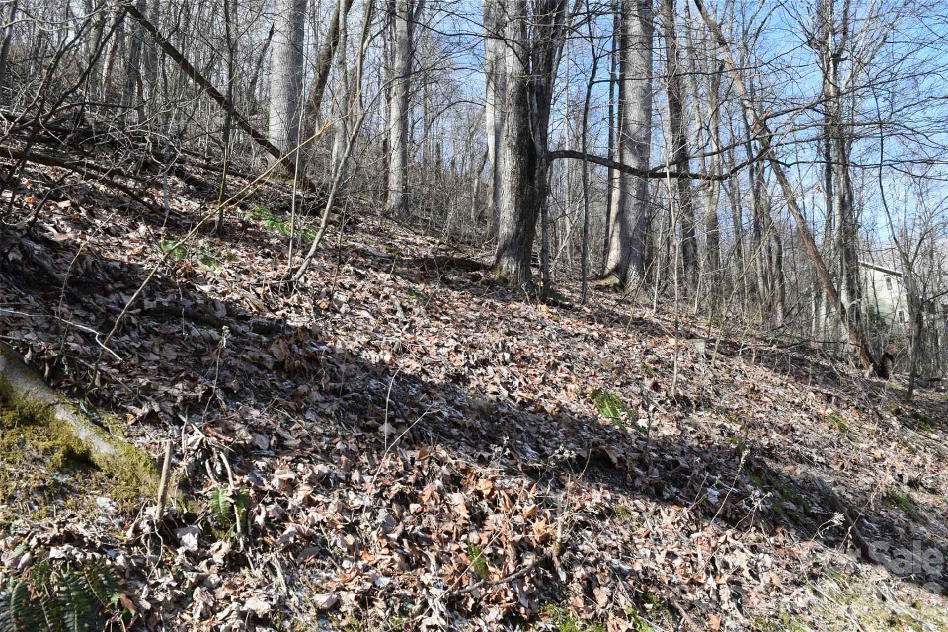 417& 418 Multiflora Way #417&418 - Photo 16