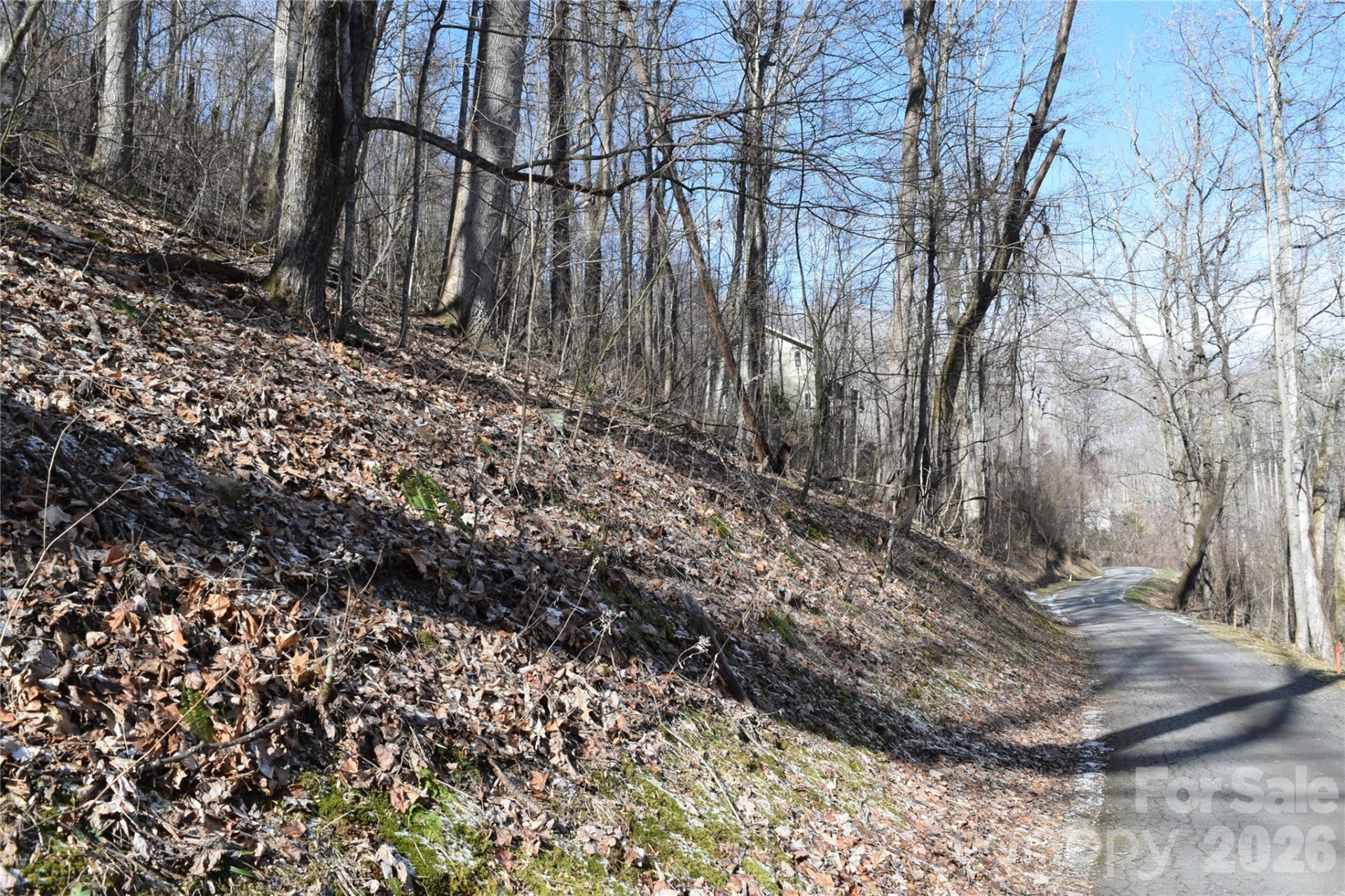 417& 418 Multiflora Way #417&418 - Photo 17