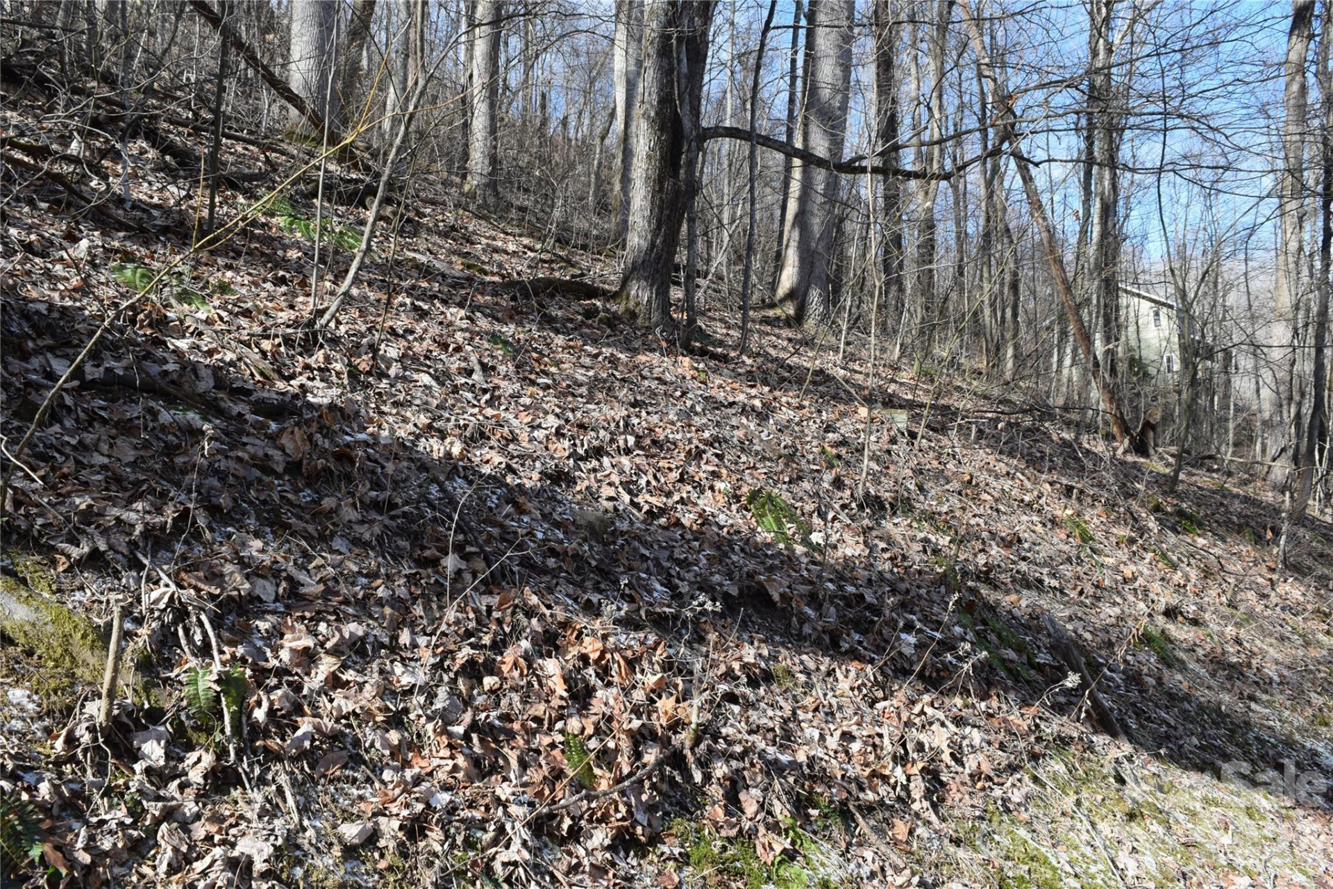 417& 418 Multiflora Way #417&418 - Photo 18