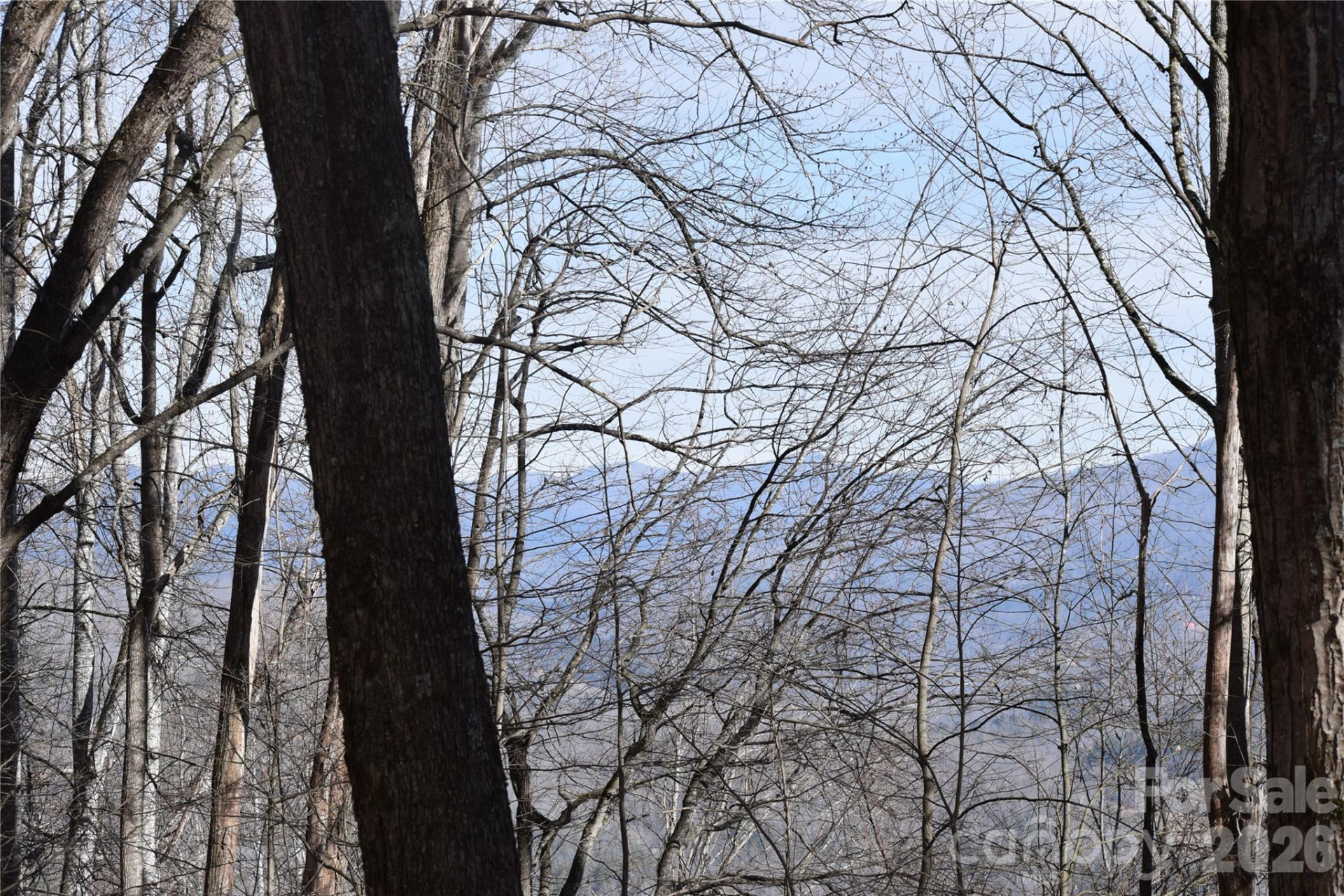 417& 418 Multiflora Way #417&418 - Photo 20