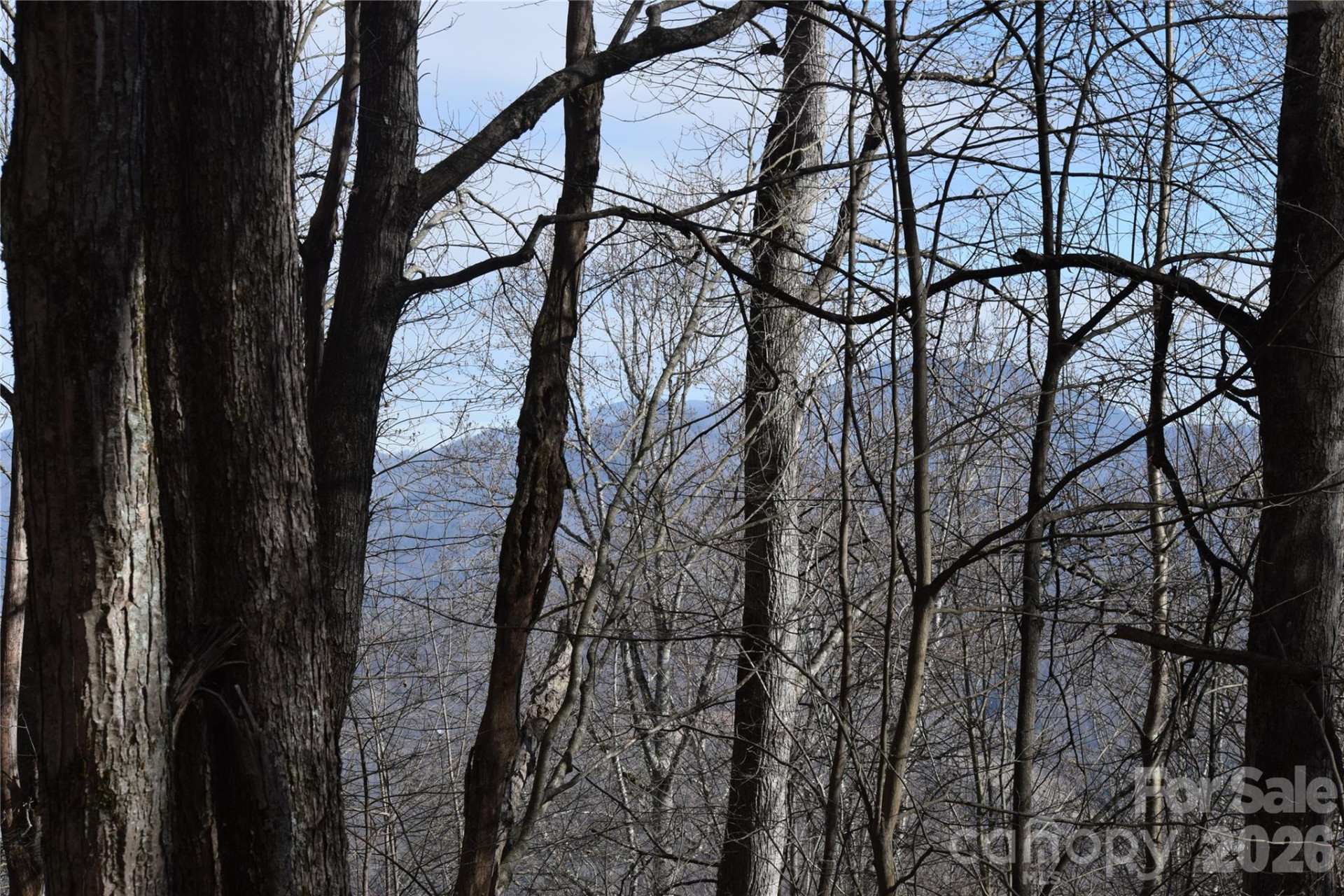 417& 418 Multiflora Way #417&418 - Photo 21