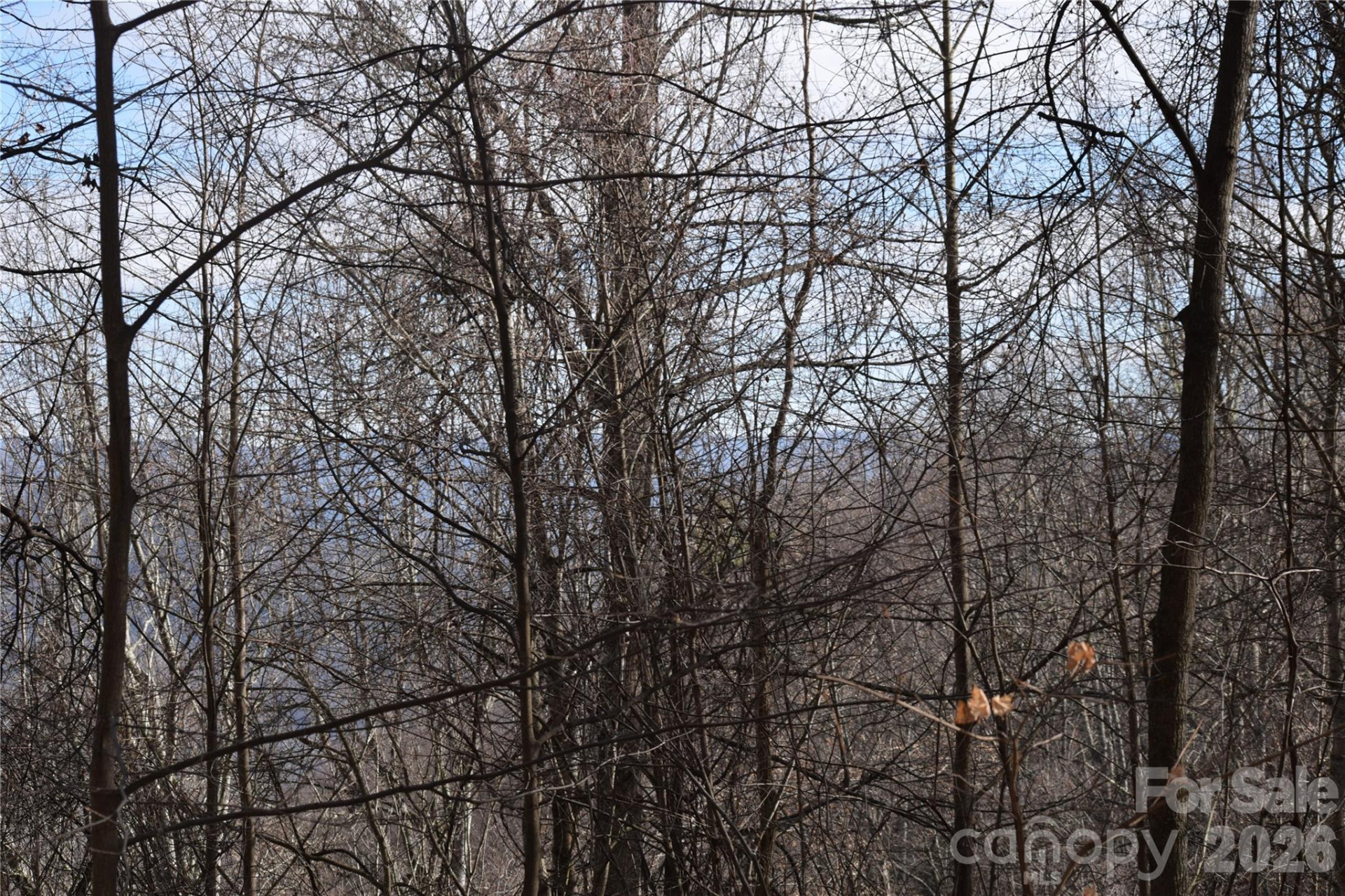 417& 418 Multiflora Way #417&418 - Photo 22