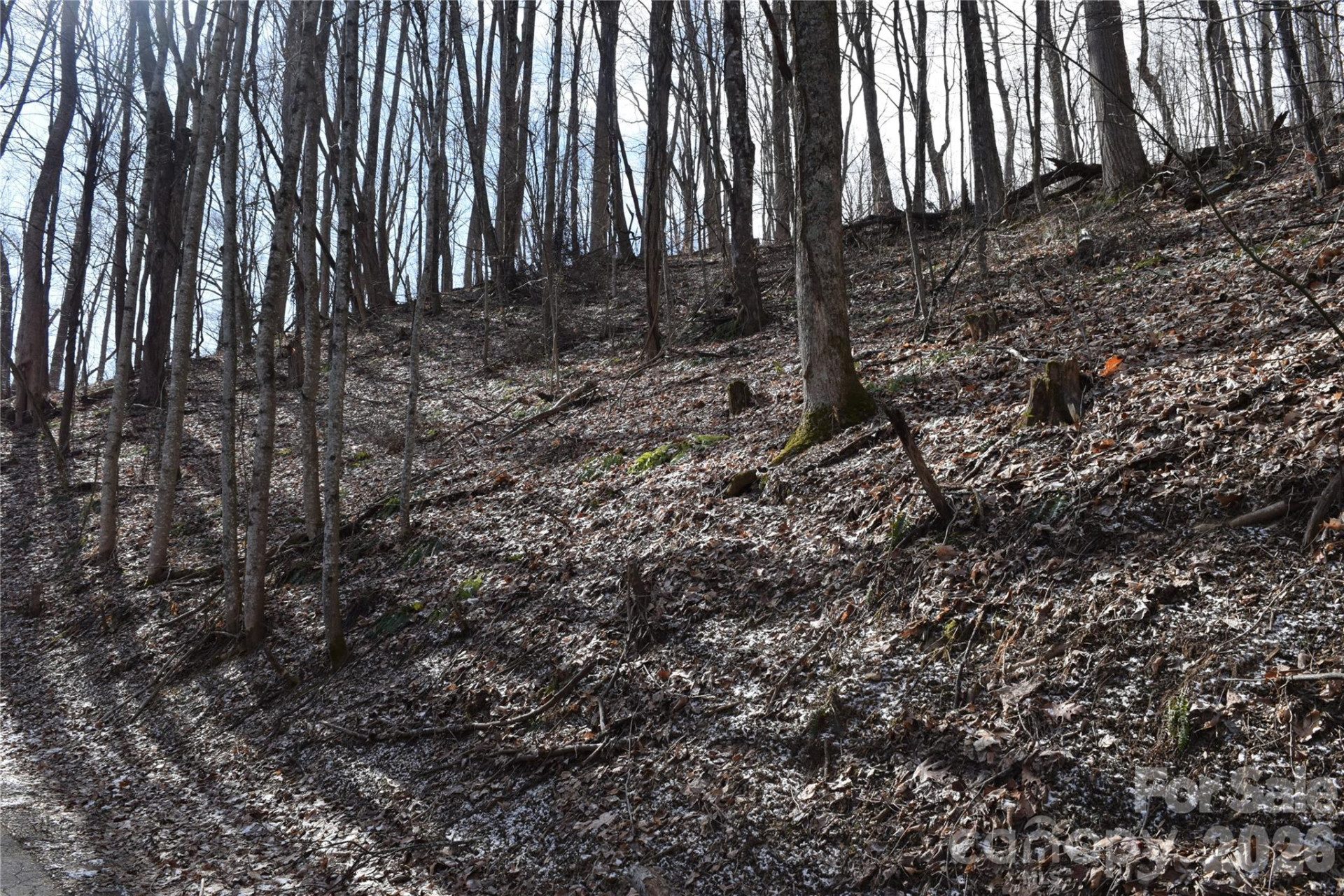 417& 418 Multiflora Way #417&418 - Photo 23