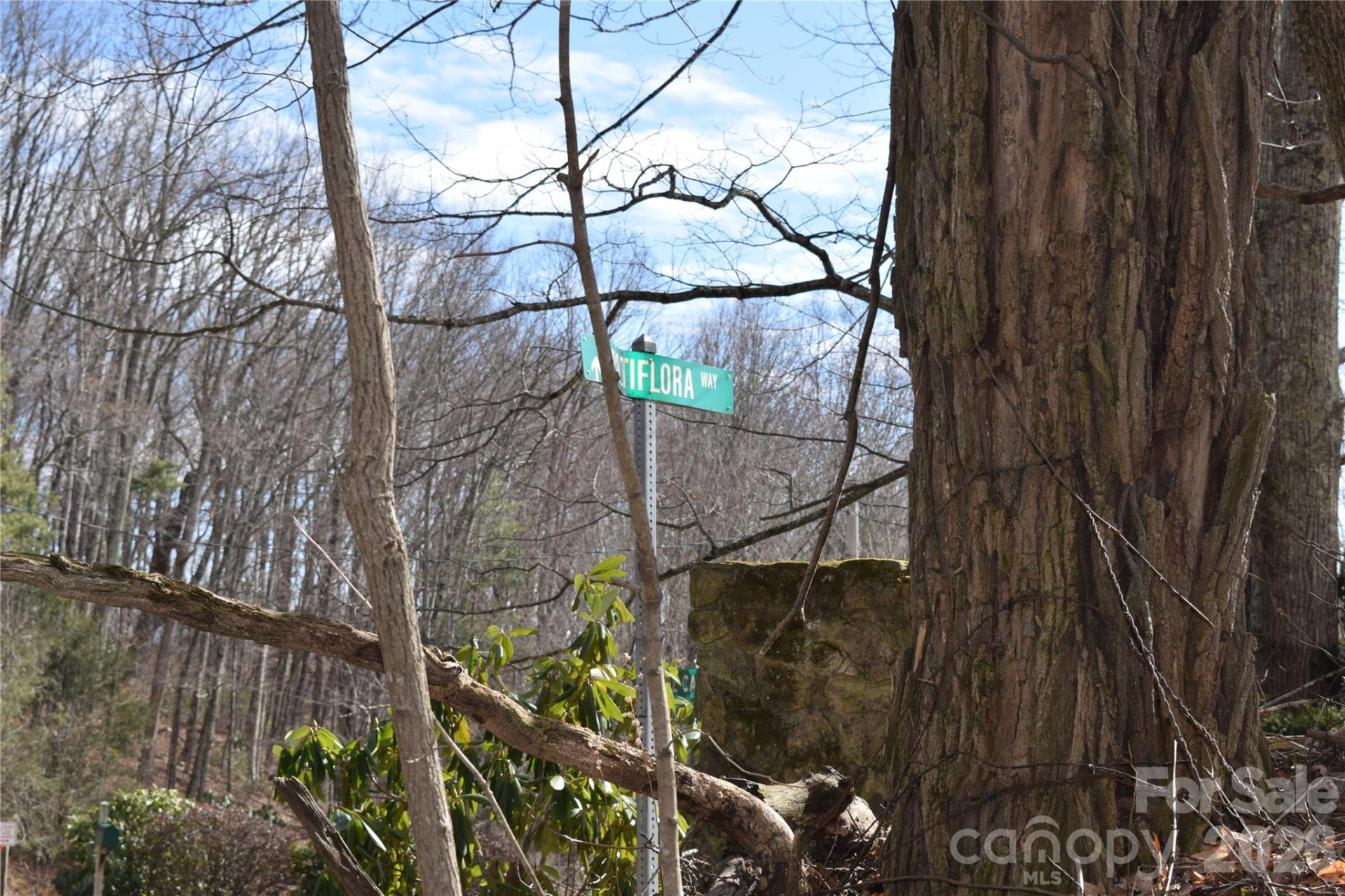 417& 418 Multiflora Way #417&418 - Photo 24