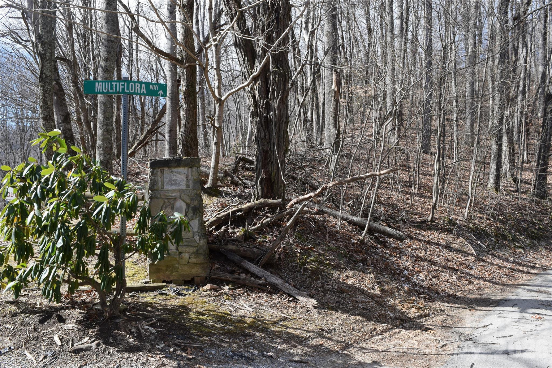 417& 418 Multiflora Way #417&418 - Photo 27