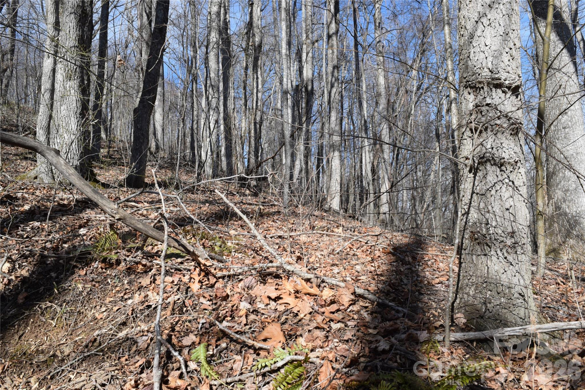 417& 418 Multiflora Way #417&418 - Photo 4