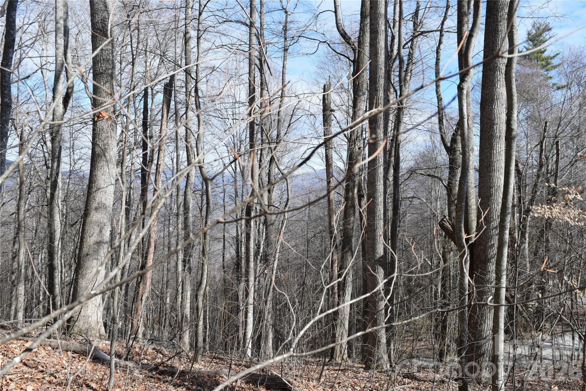 417& 418 Multiflora Way #417&418 - Photo 6