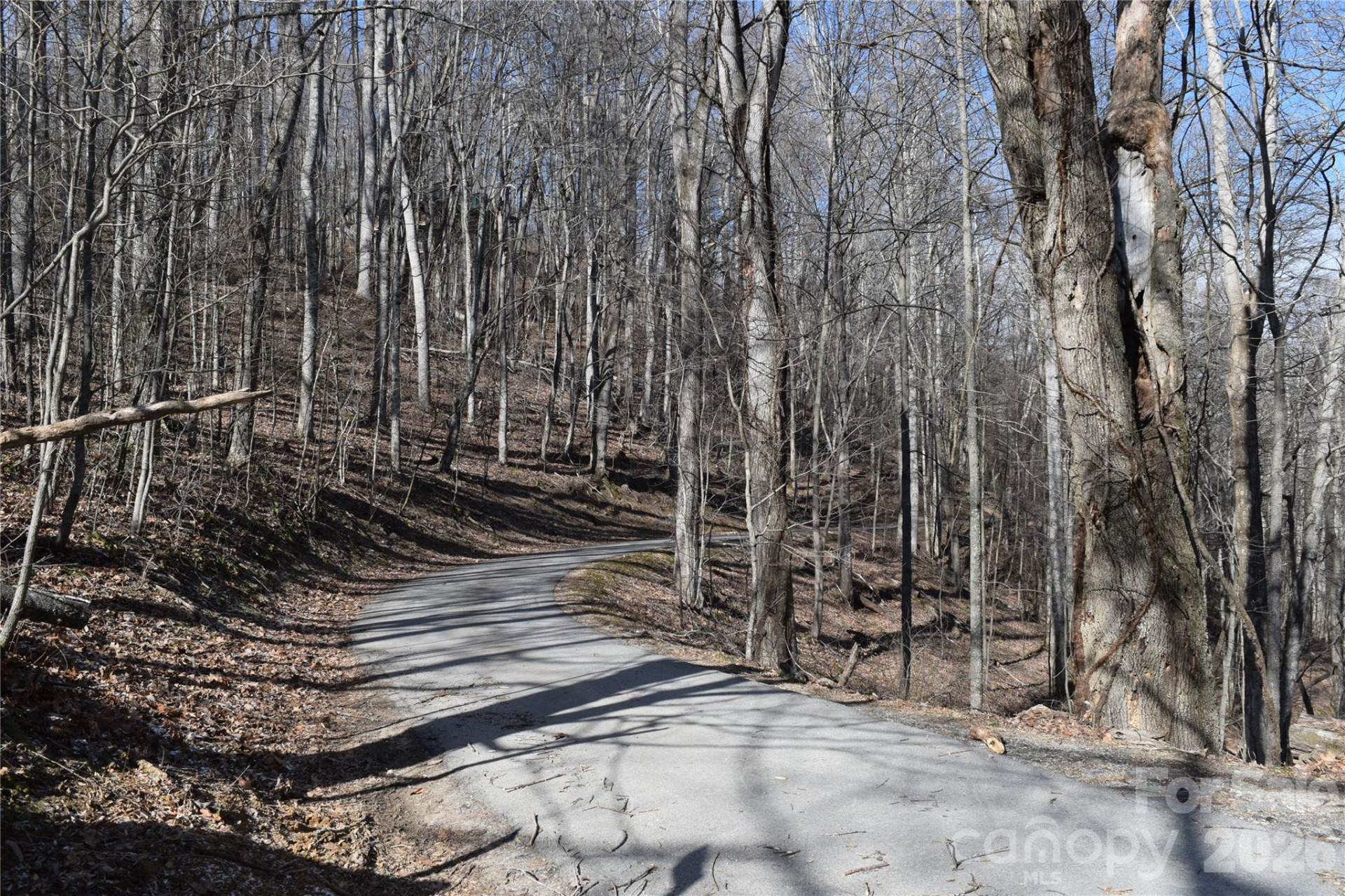 417& 418 Multiflora Way #417&418 - Photo 8