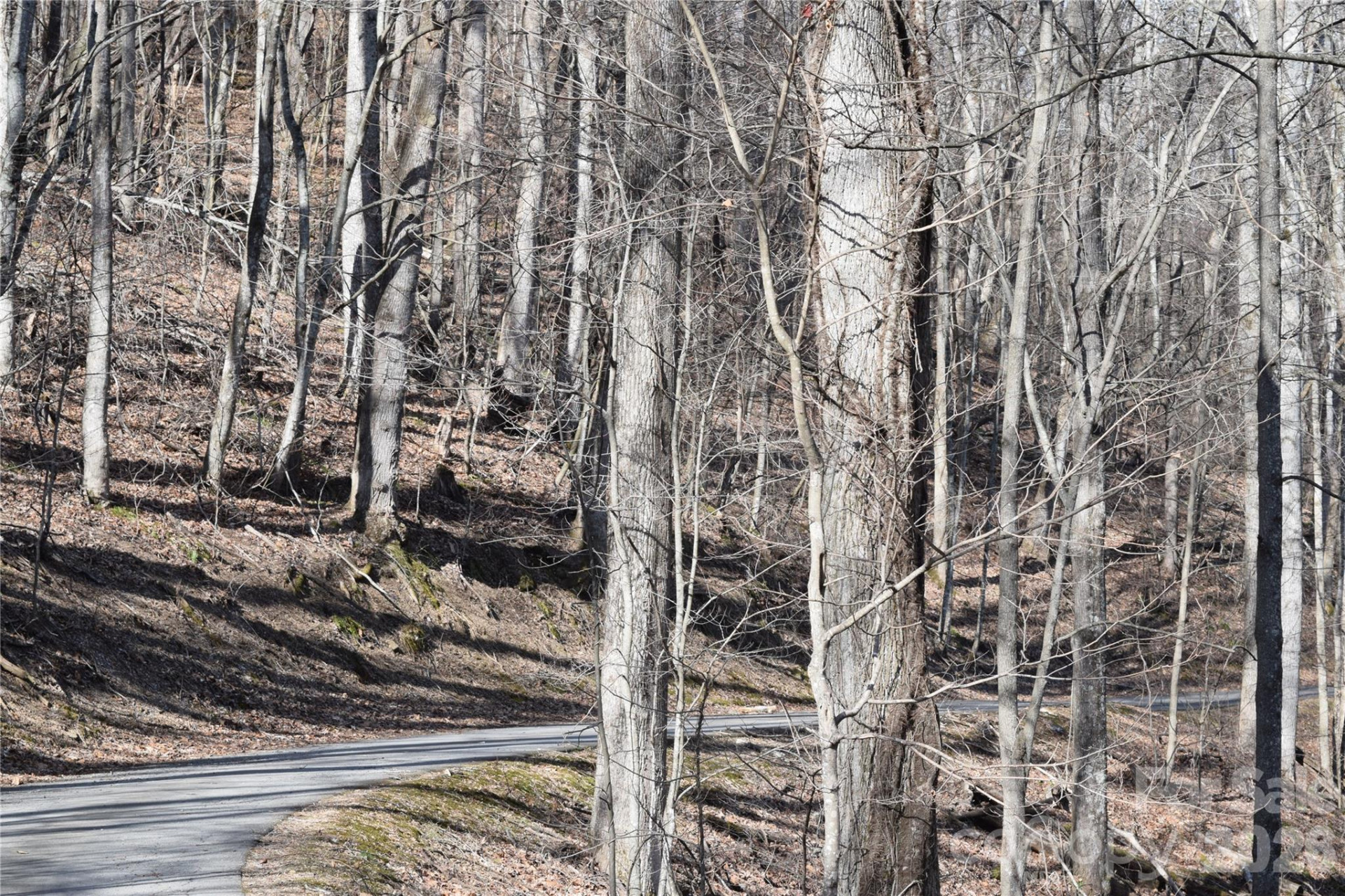 417& 418 Multiflora Way #417&418 - Photo 9