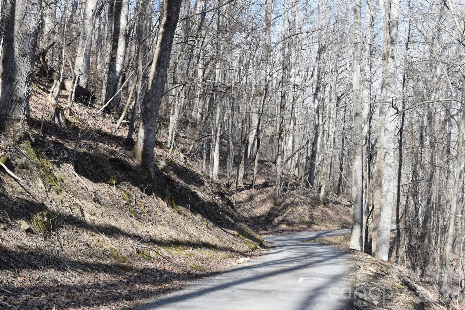 417& 418 Multiflora Way #417&418 - Photo 10