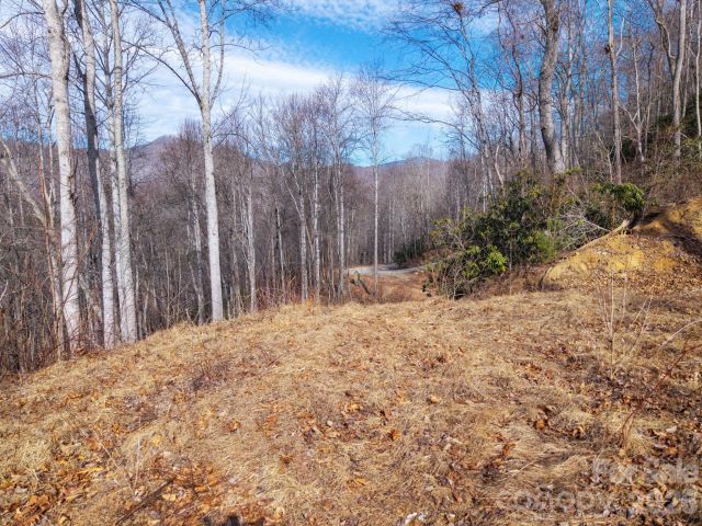 000 Bee Tree Road, Swannanoa, NC, 28778