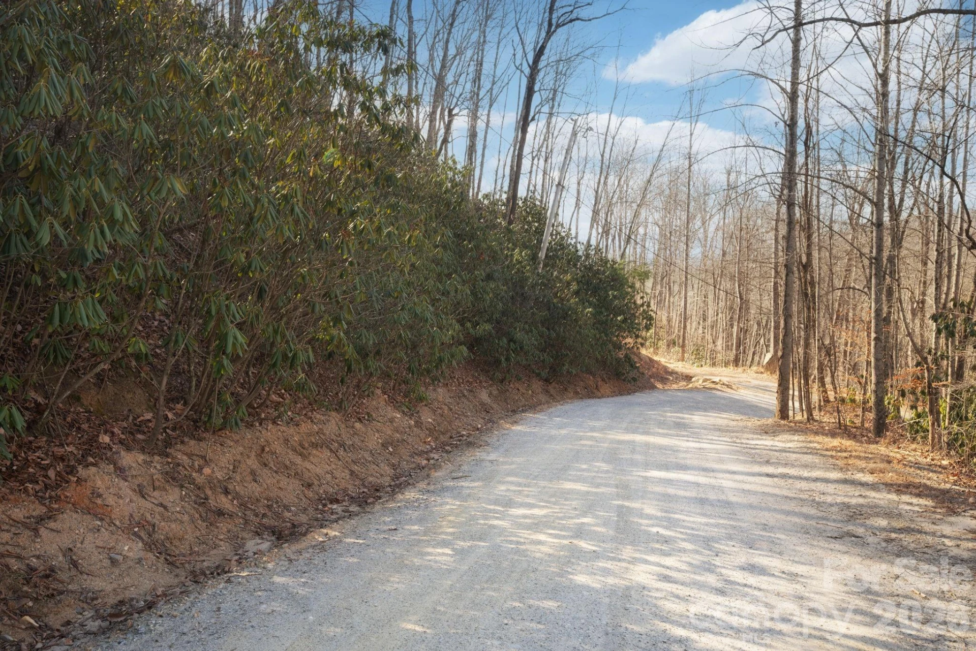 000 Bee Tree Road #103B - Photo 2