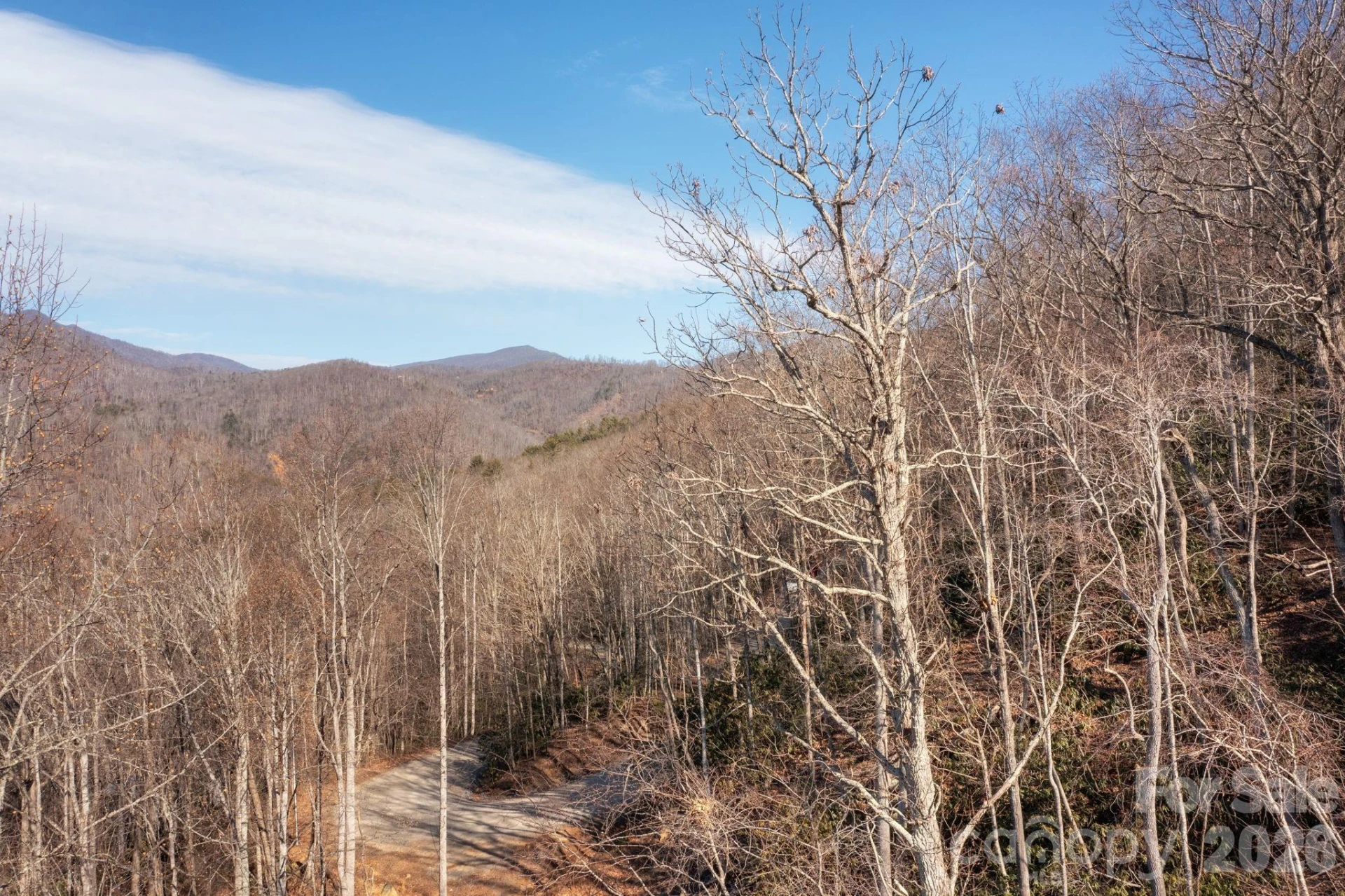 000 Bee Tree Road #103B - Photo 14