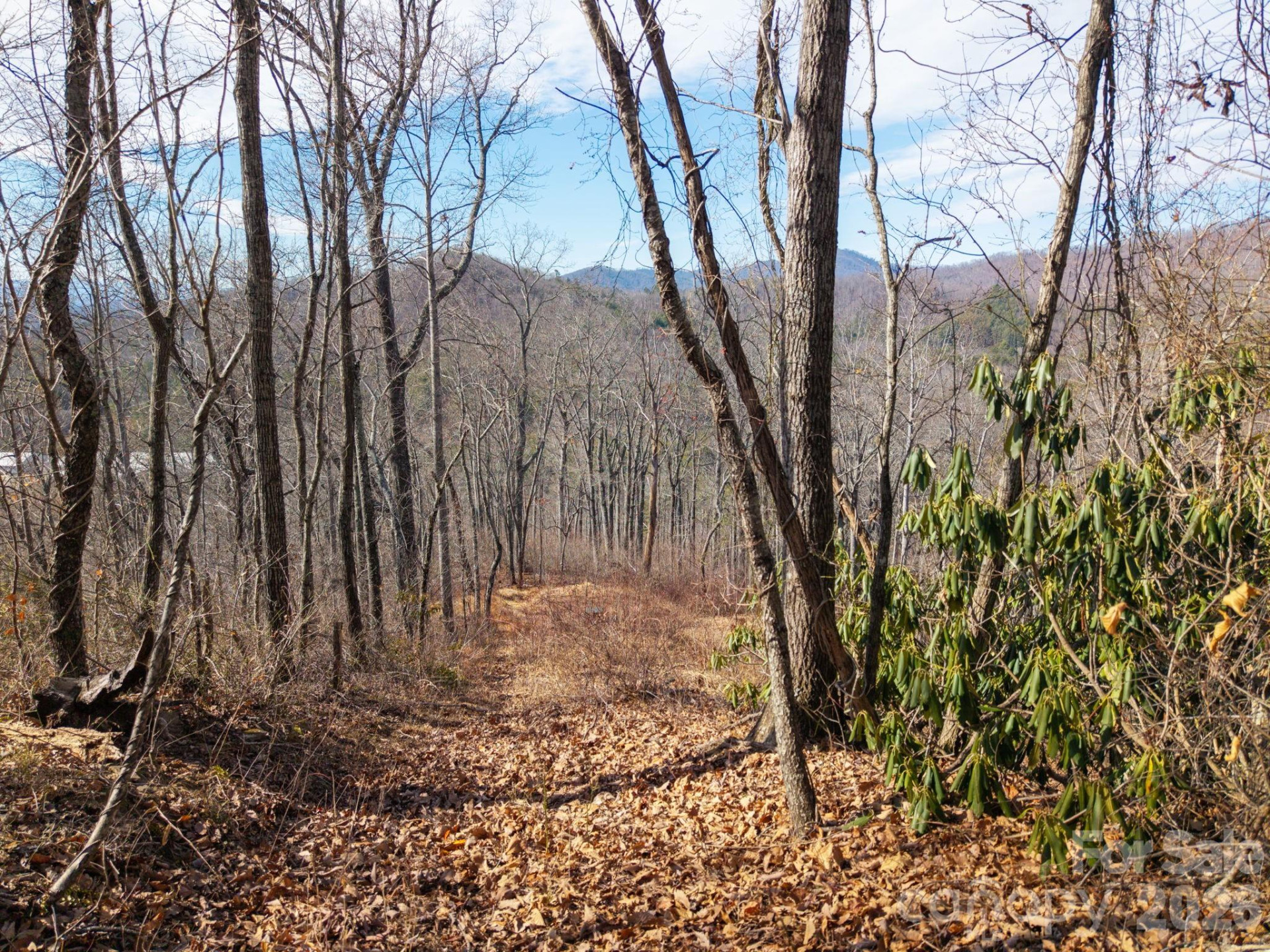 000 Bee Tree Road #103B - Photo 17