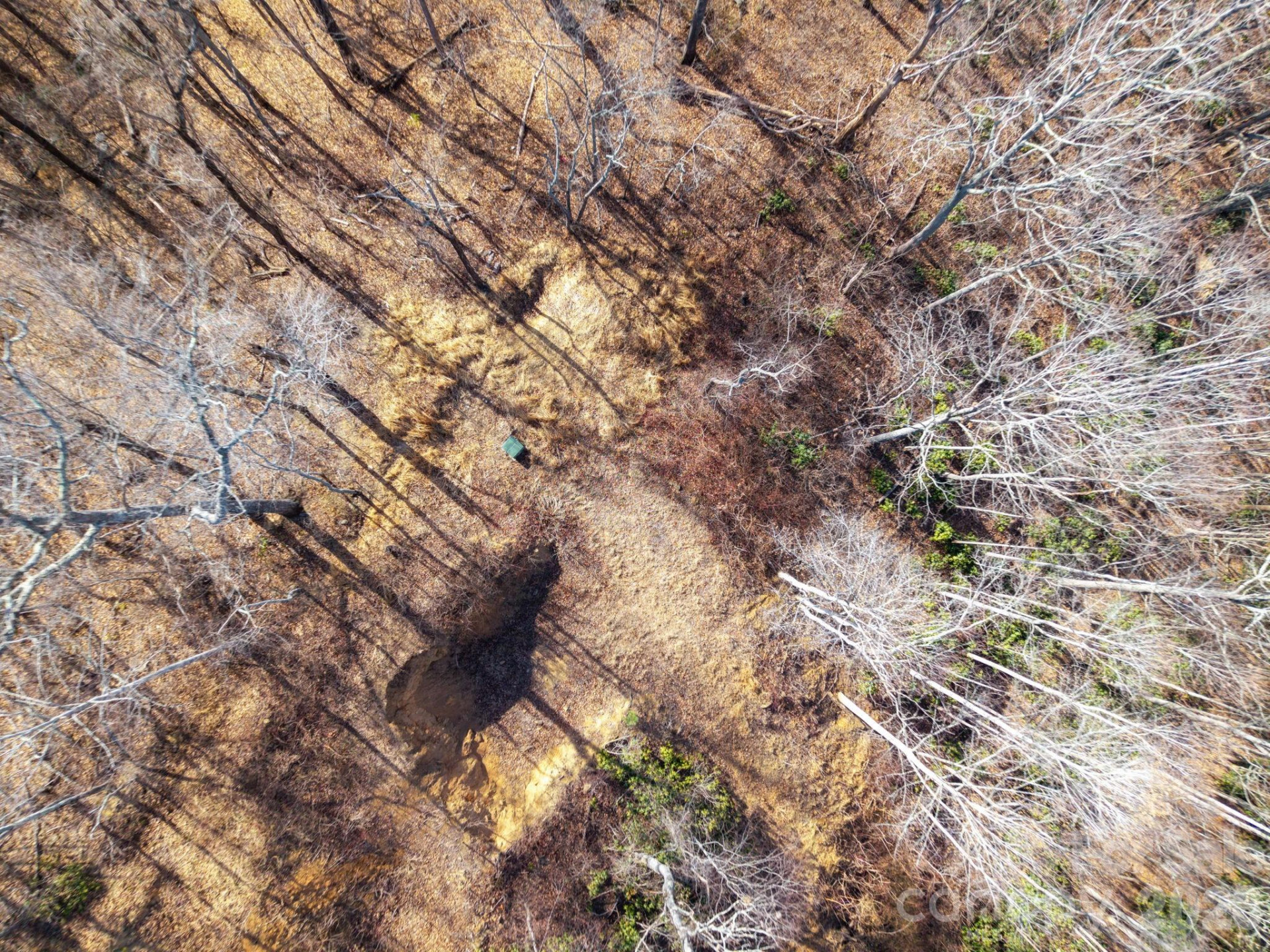 000 Bee Tree Road #103B - Photo 18