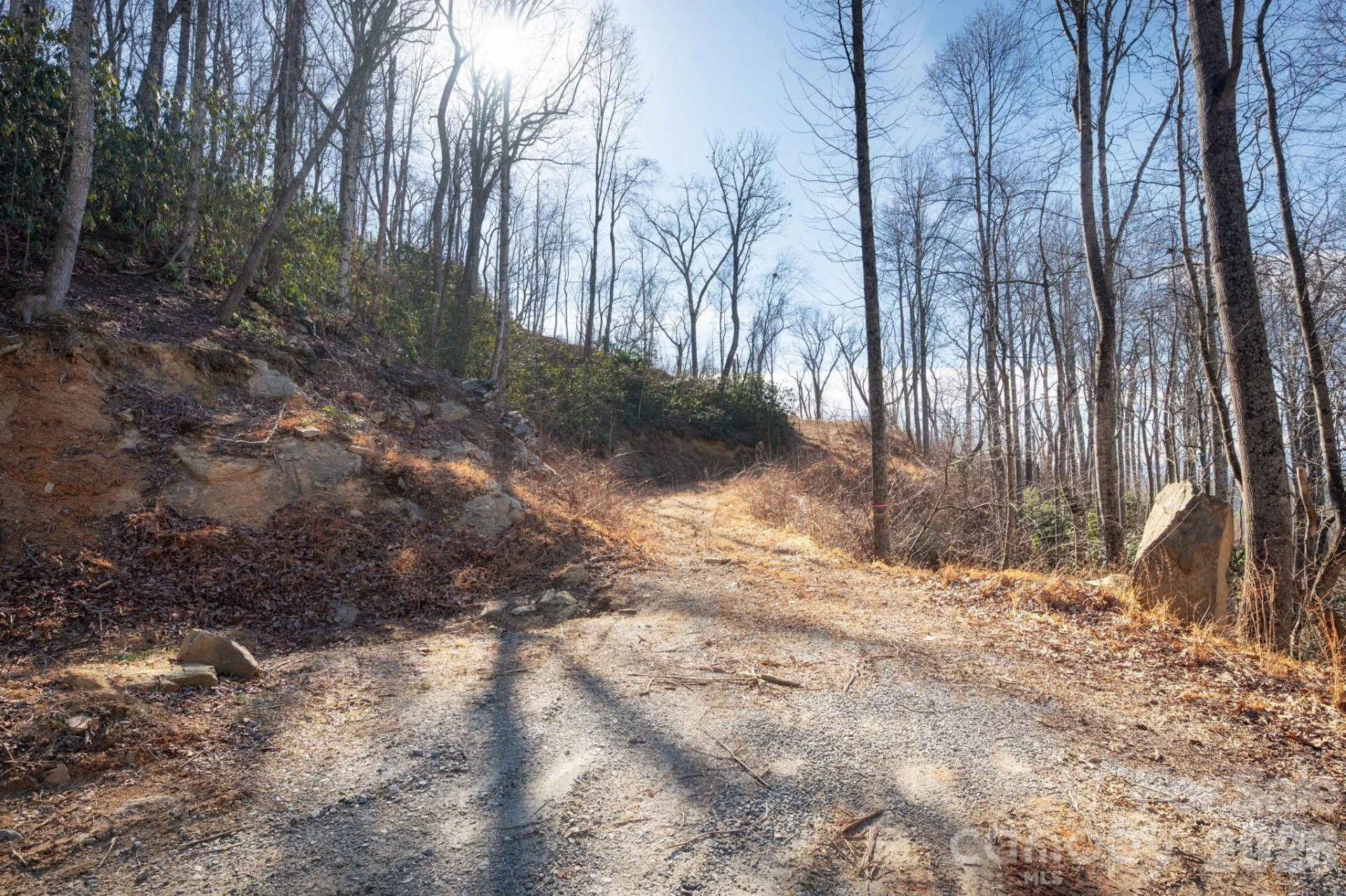 000 Bee Tree Road #103B - Photo 3