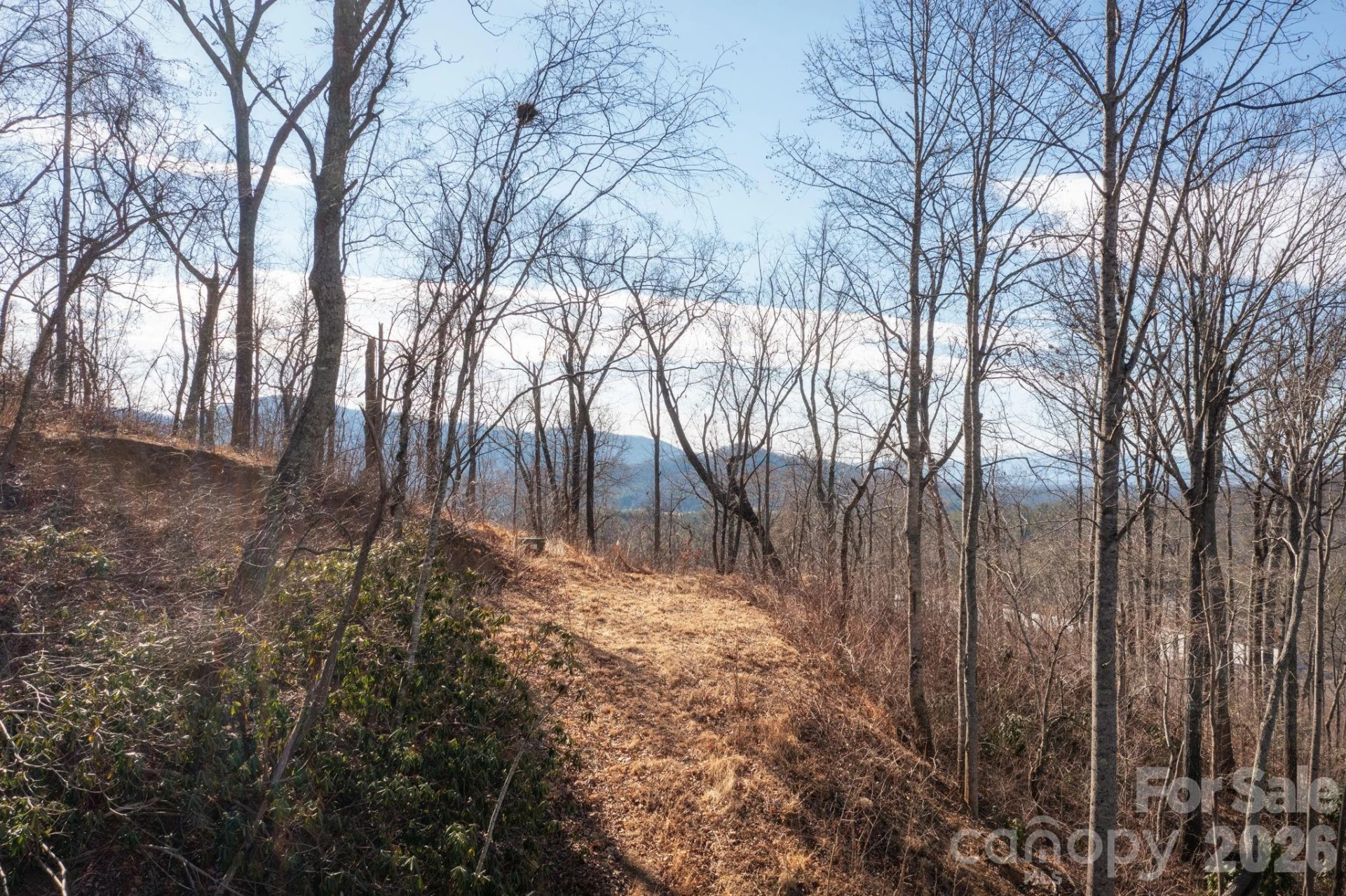 000 Bee Tree Road #103B - Photo 4