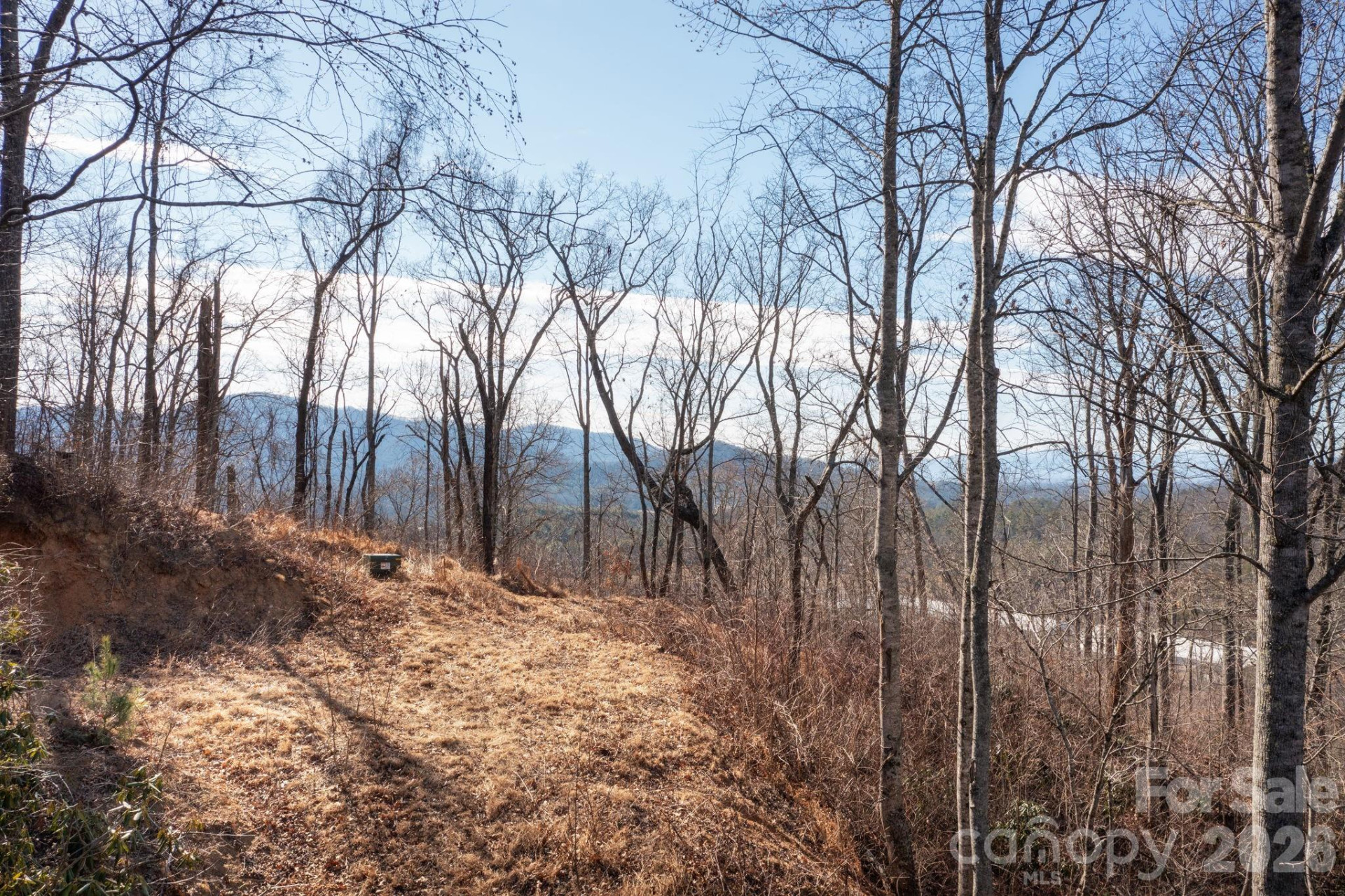 000 Bee Tree Road #103B - Photo 5