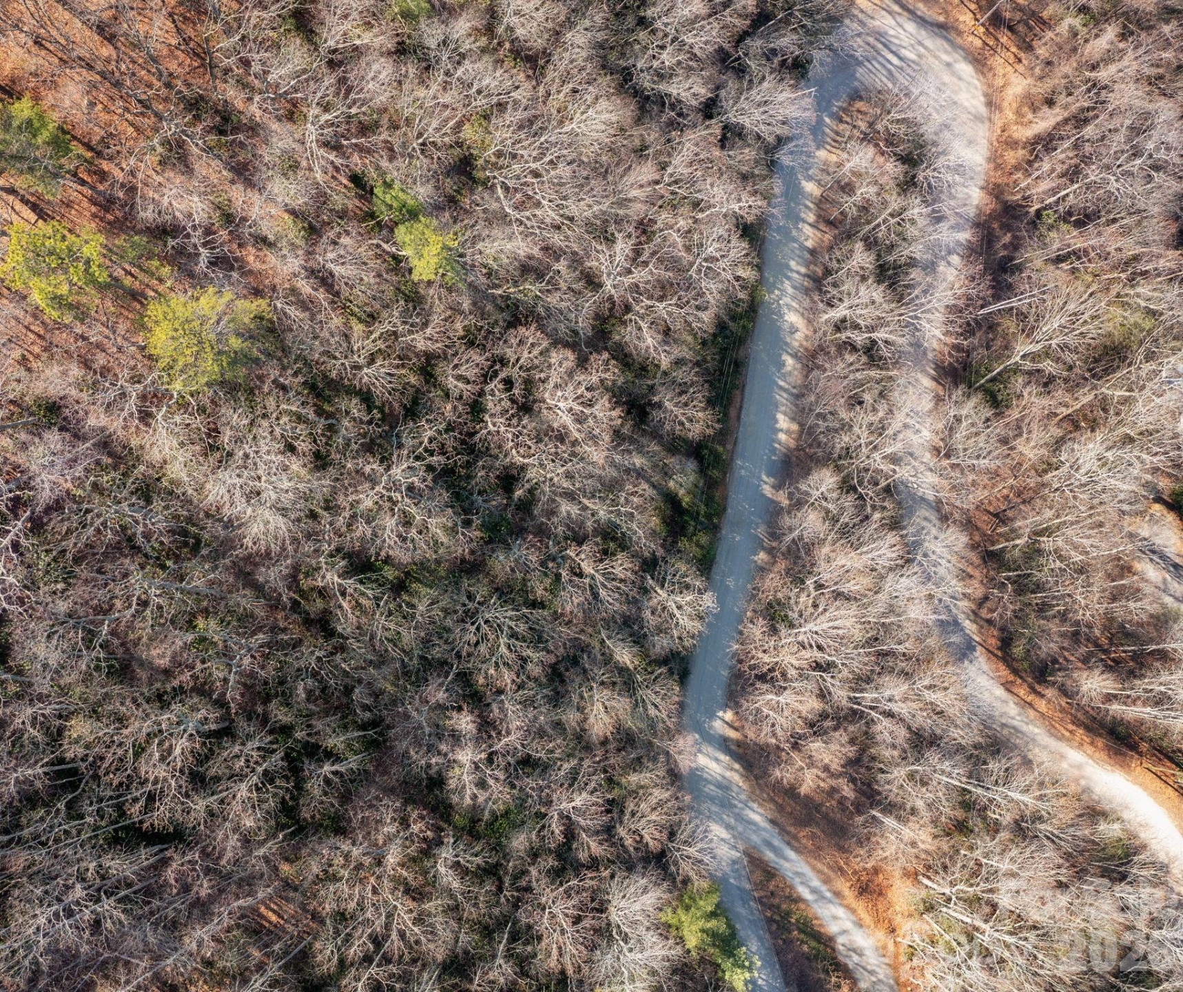 000 Bee Tree Road #103B - Photo 8