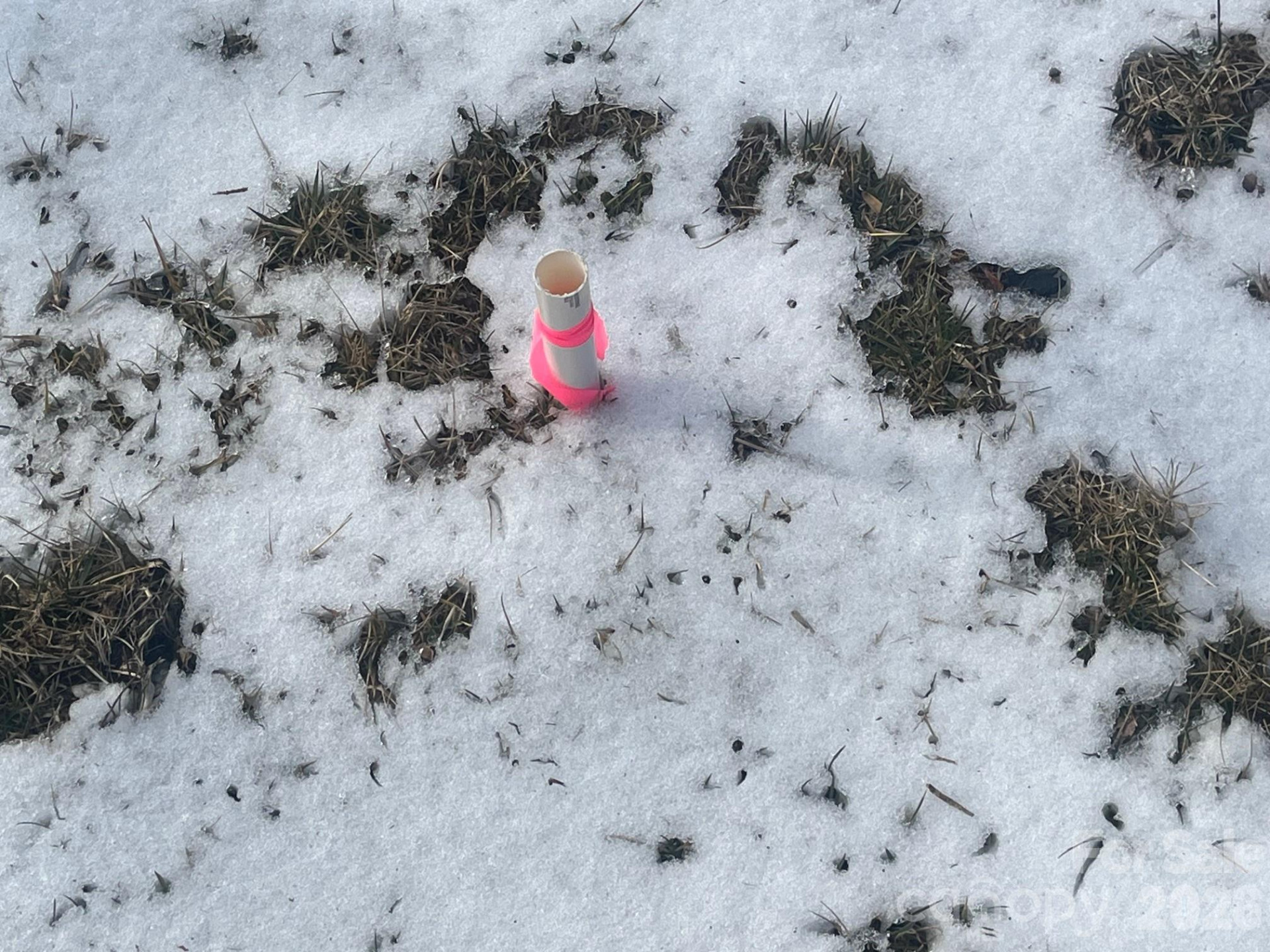 4450 US 70 Highway - Photo 6