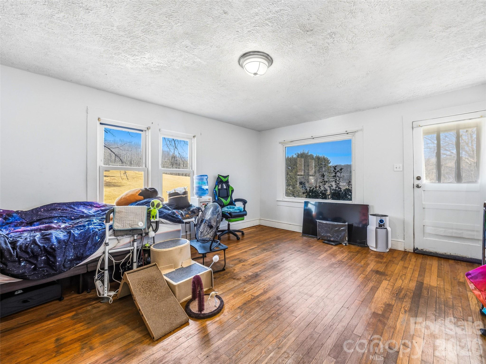 800 Murray Road - Photo 5