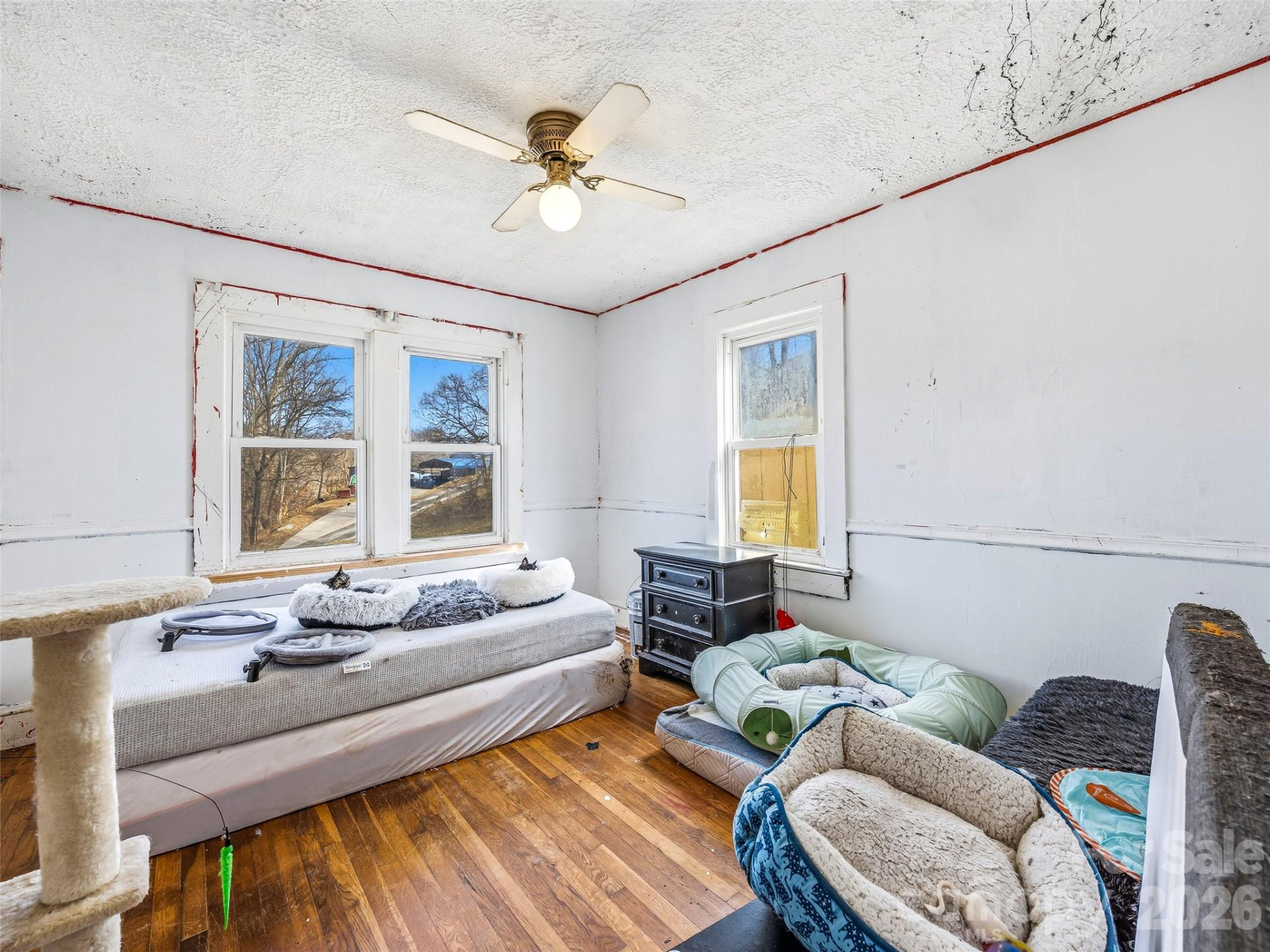 800 Murray Road - Photo 8