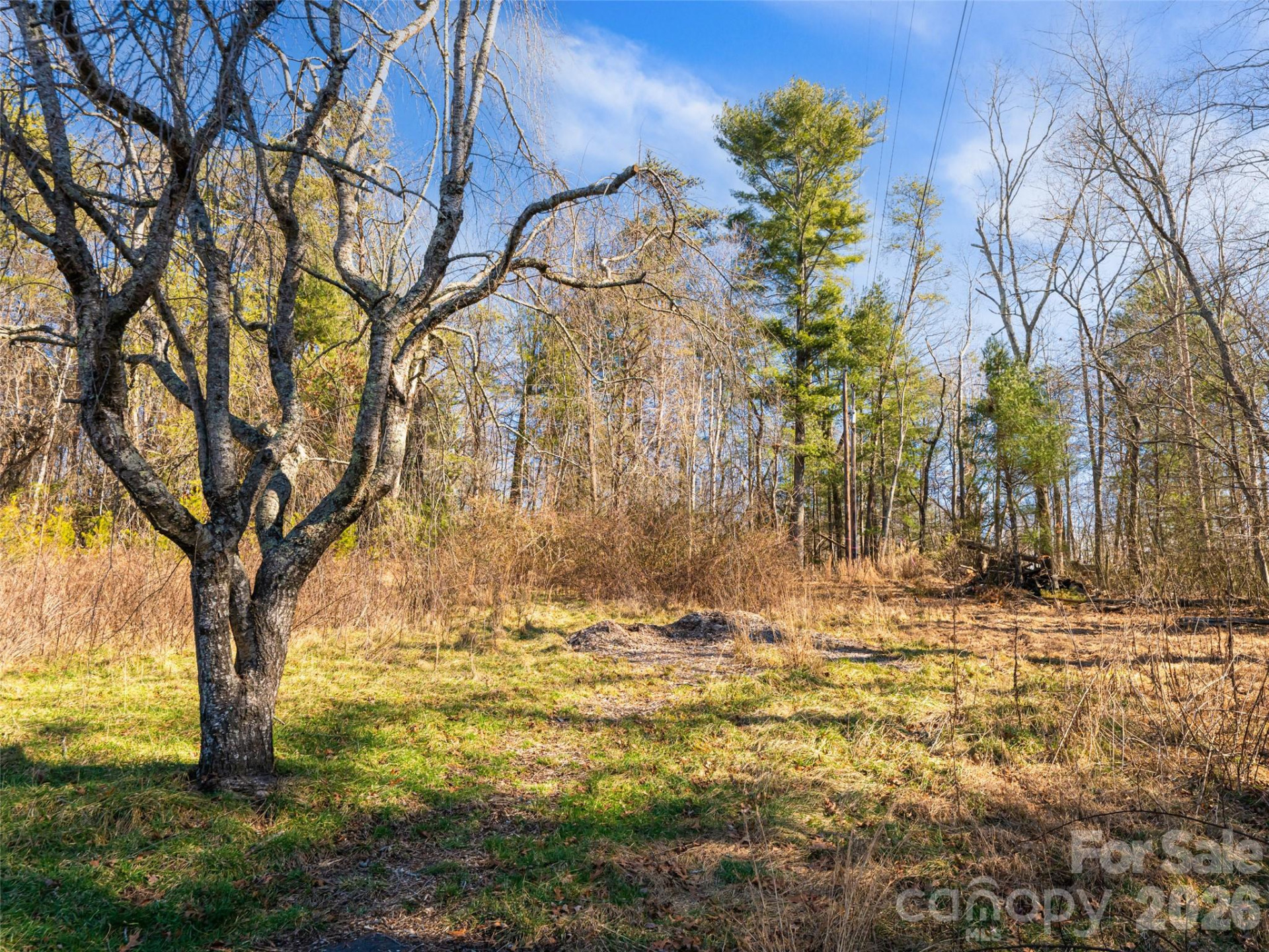 44 Presbyterian Church Road - Photo 33