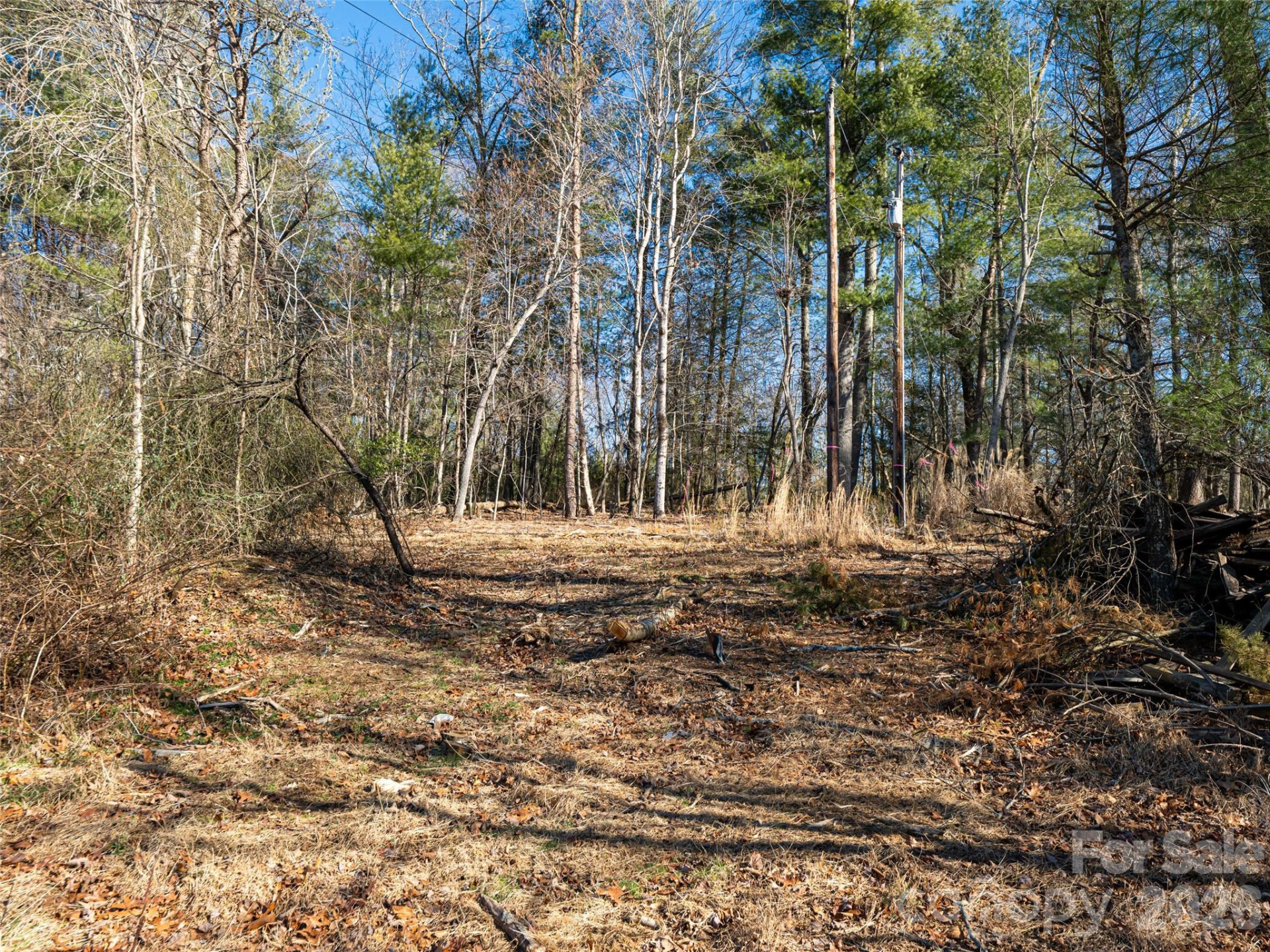 44 Presbyterian Church Road - Photo 38