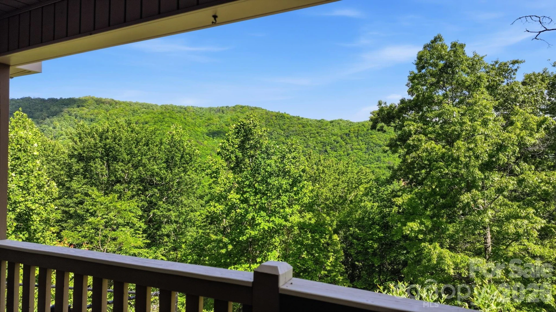 790 Moonlight Trail - Photo 7
