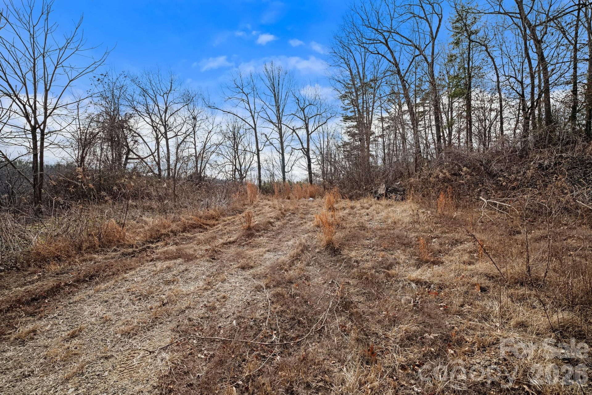 99999 Crestfield Avenue - Photo 6