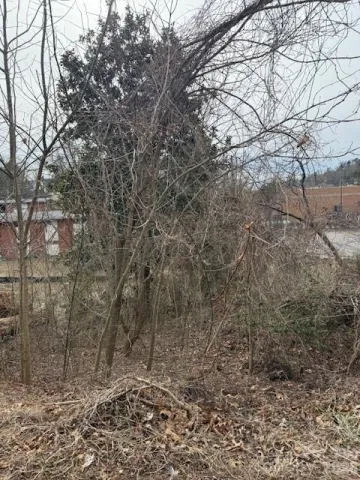 33 Johnson Drive