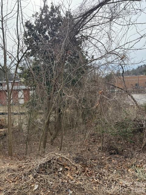 33 Johnson Drive #1