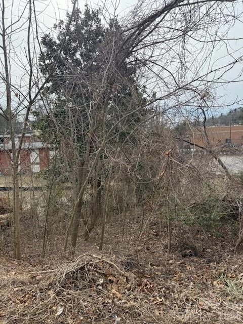 33 Johnson Drive #1