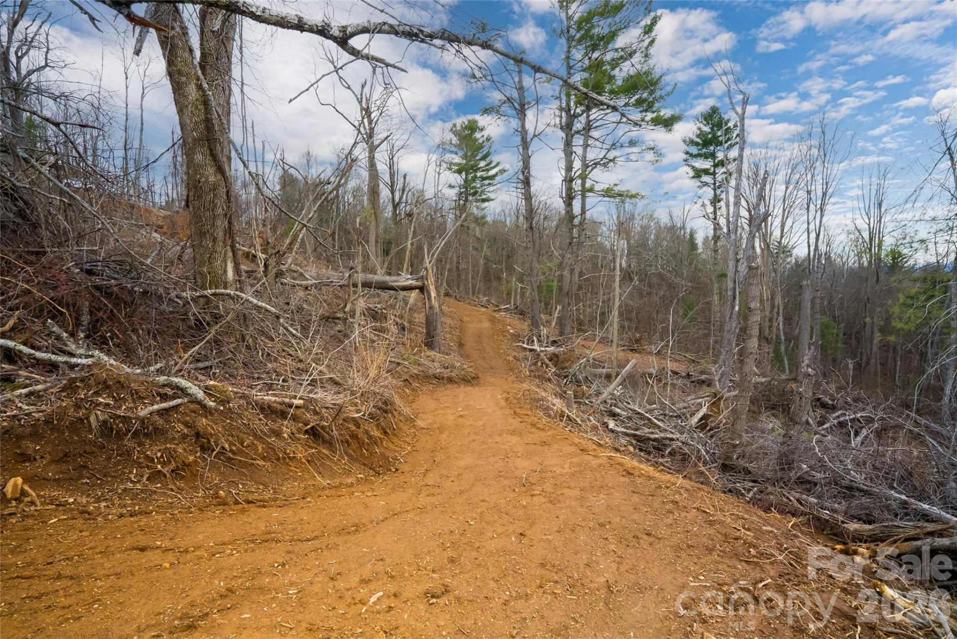 99999 Elk Mountain Scenic Highway #2 - Photo 13